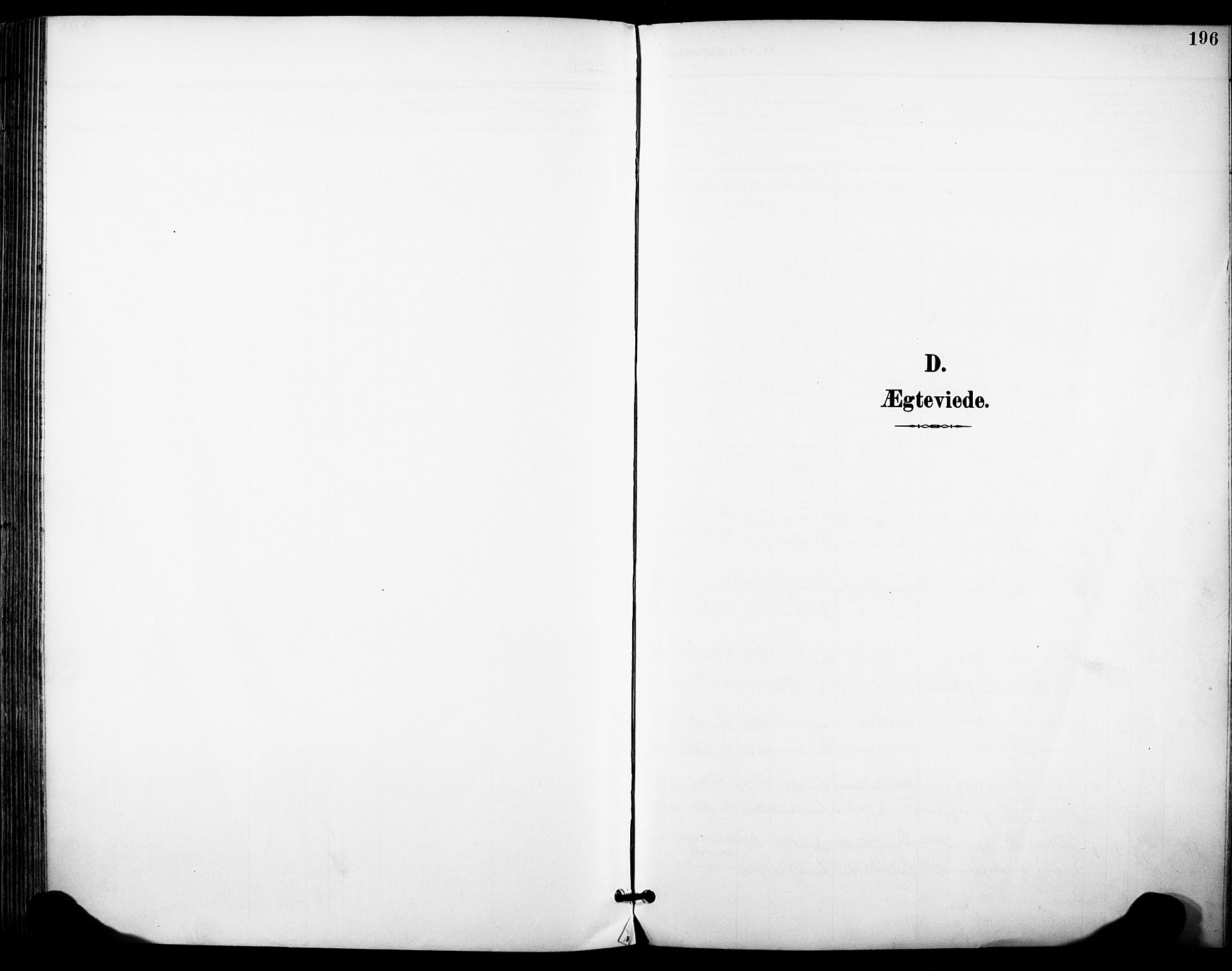 Sandefjord kirkebøker, SAKO/A-315/F/Fa/L0004: Parish register (official) no. 4, 1894-1905, p. 196