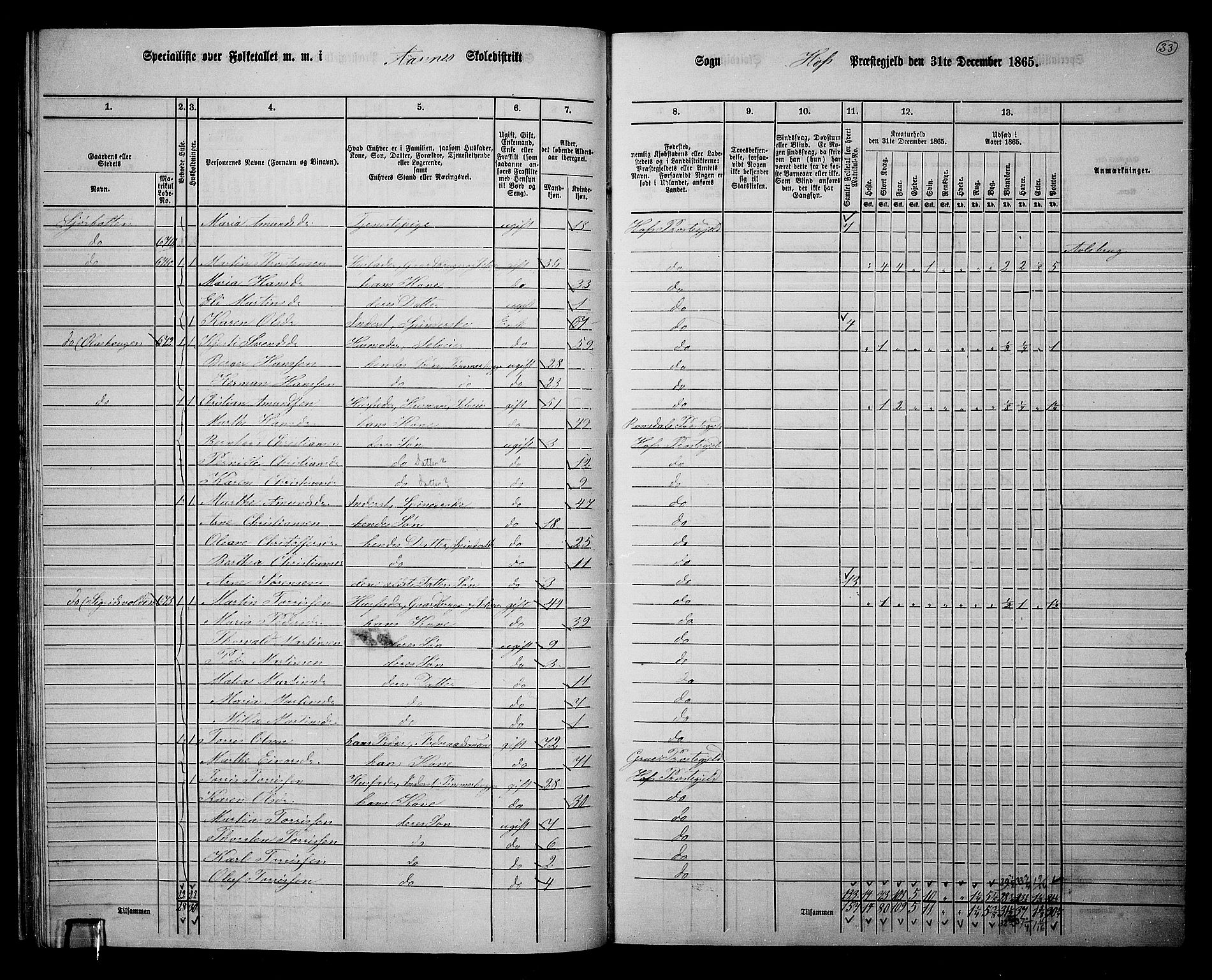 RA, 1865 census for Hof, 1865, p. 30