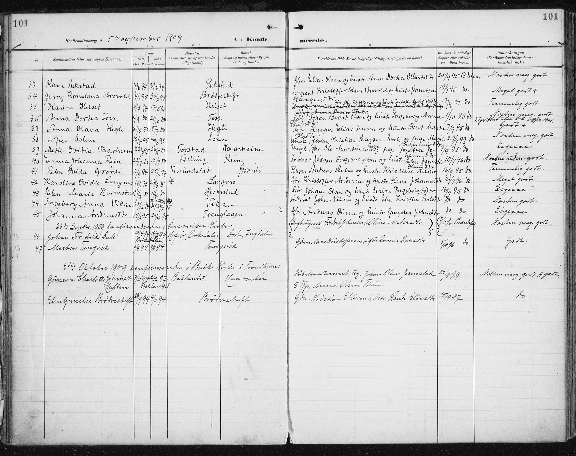 Ministerialprotokoller, klokkerbøker og fødselsregistre - Sør-Trøndelag, AV/SAT-A-1456/646/L0616: Parish register (official) no. 646A14, 1900-1918, p. 101