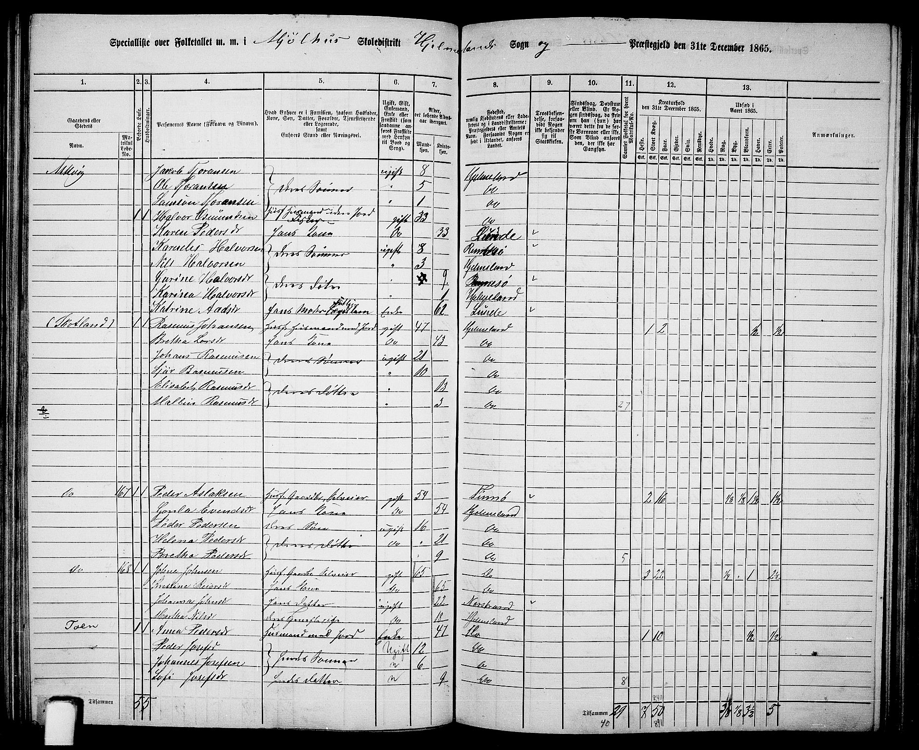 RA, 1865 census for Hjelmeland, 1865, p. 103