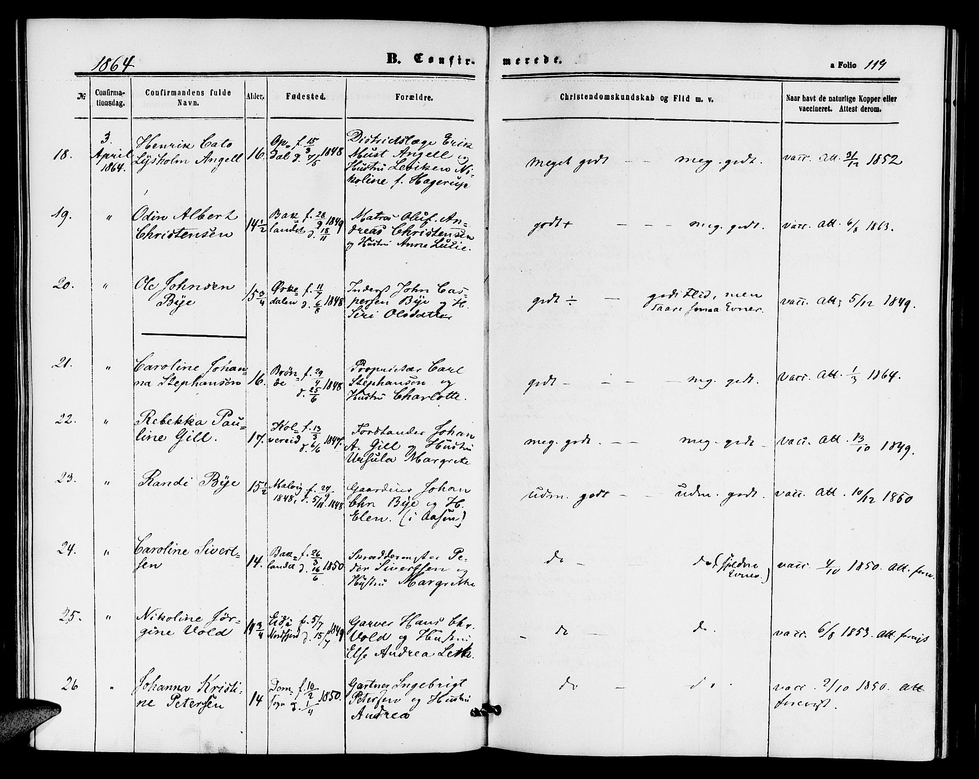 Ministerialprotokoller, klokkerbøker og fødselsregistre - Sør-Trøndelag, AV/SAT-A-1456/604/L0185: Parish register (official) no. 604A06, 1861-1865, p. 119