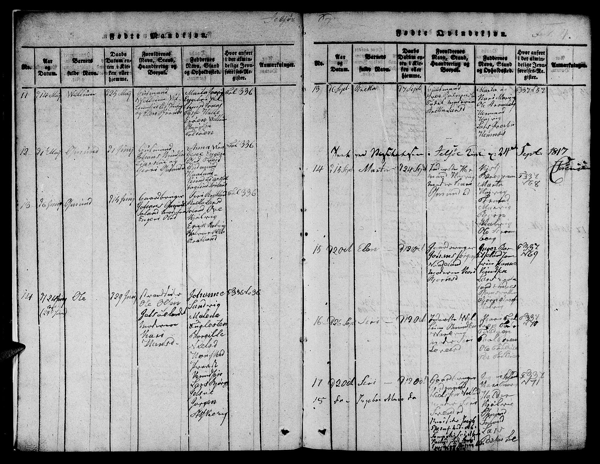 Jelsa sokneprestkontor, AV/SAST-A-101842/01/V: Parish register (copy) no. B 1 /1, 1816-1828, p. 4