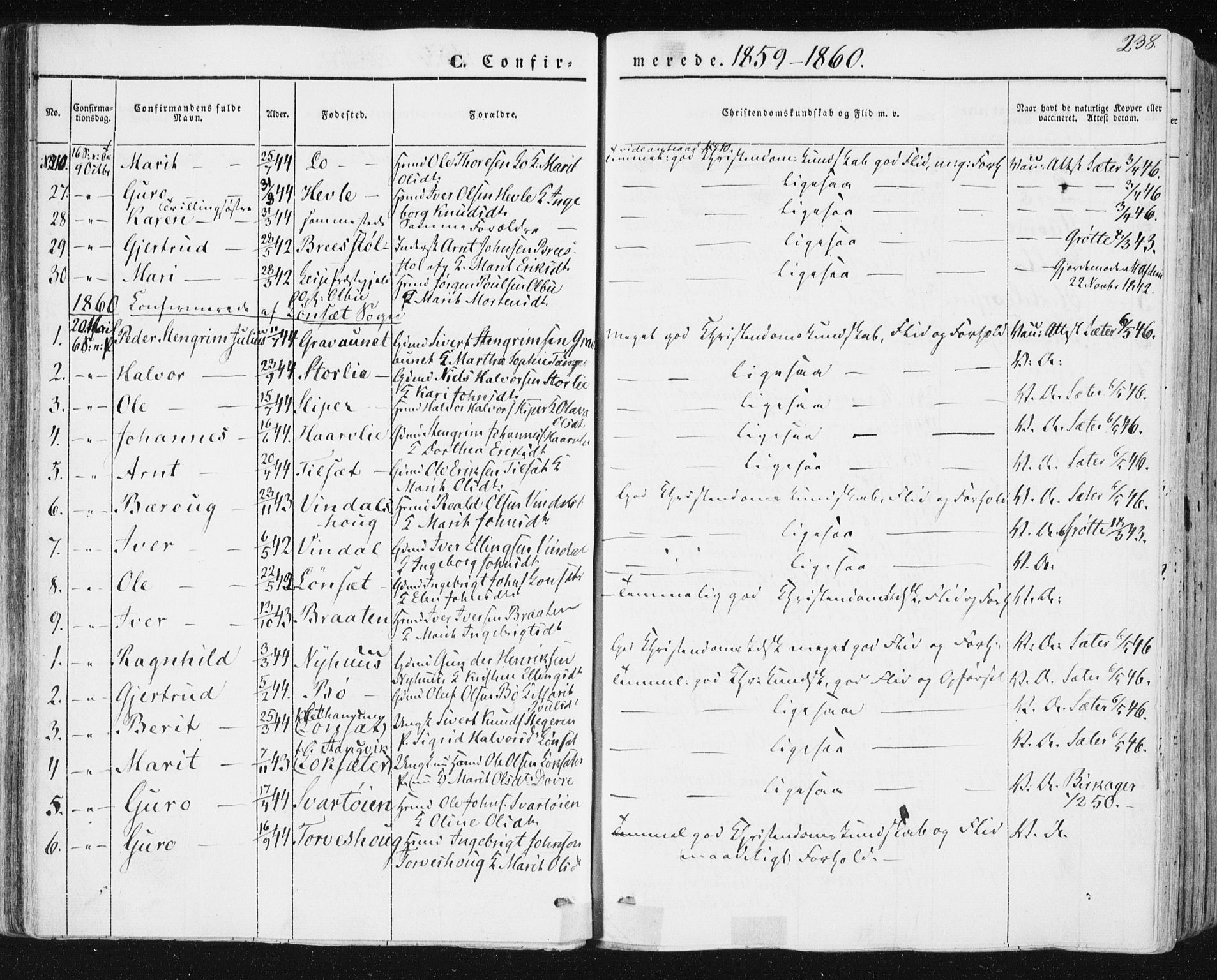 Ministerialprotokoller, klokkerbøker og fødselsregistre - Sør-Trøndelag, SAT/A-1456/678/L0899: Parish register (official) no. 678A08, 1848-1872, p. 238