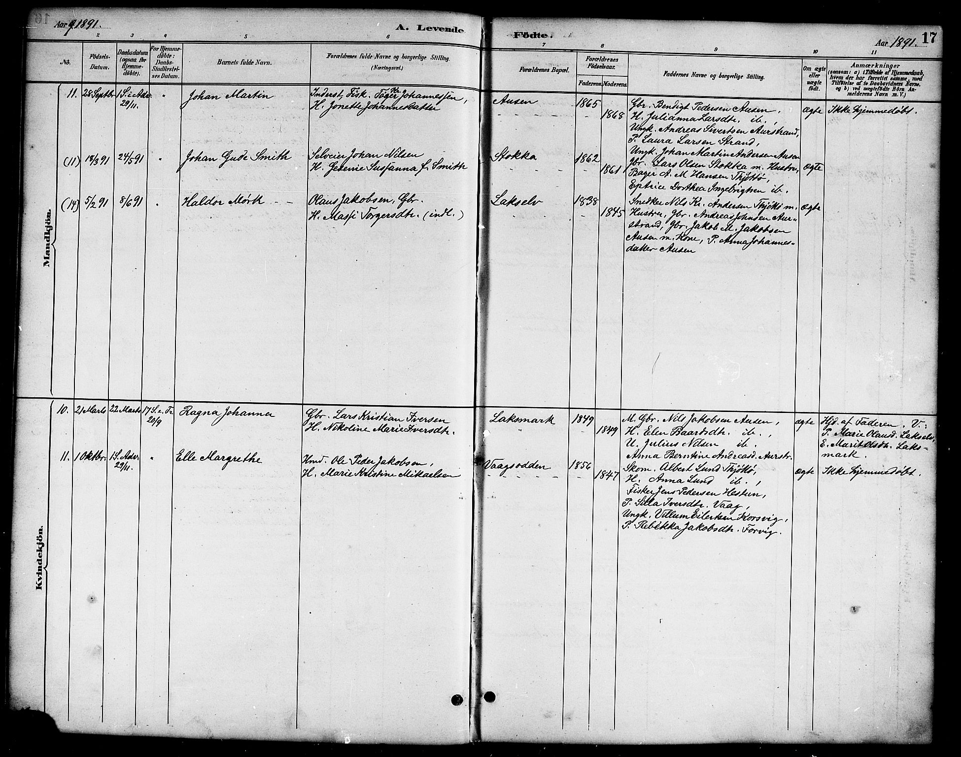 Ministerialprotokoller, klokkerbøker og fødselsregistre - Nordland, SAT/A-1459/819/L0277: Parish register (copy) no. 819C03, 1888-1917, p. 17