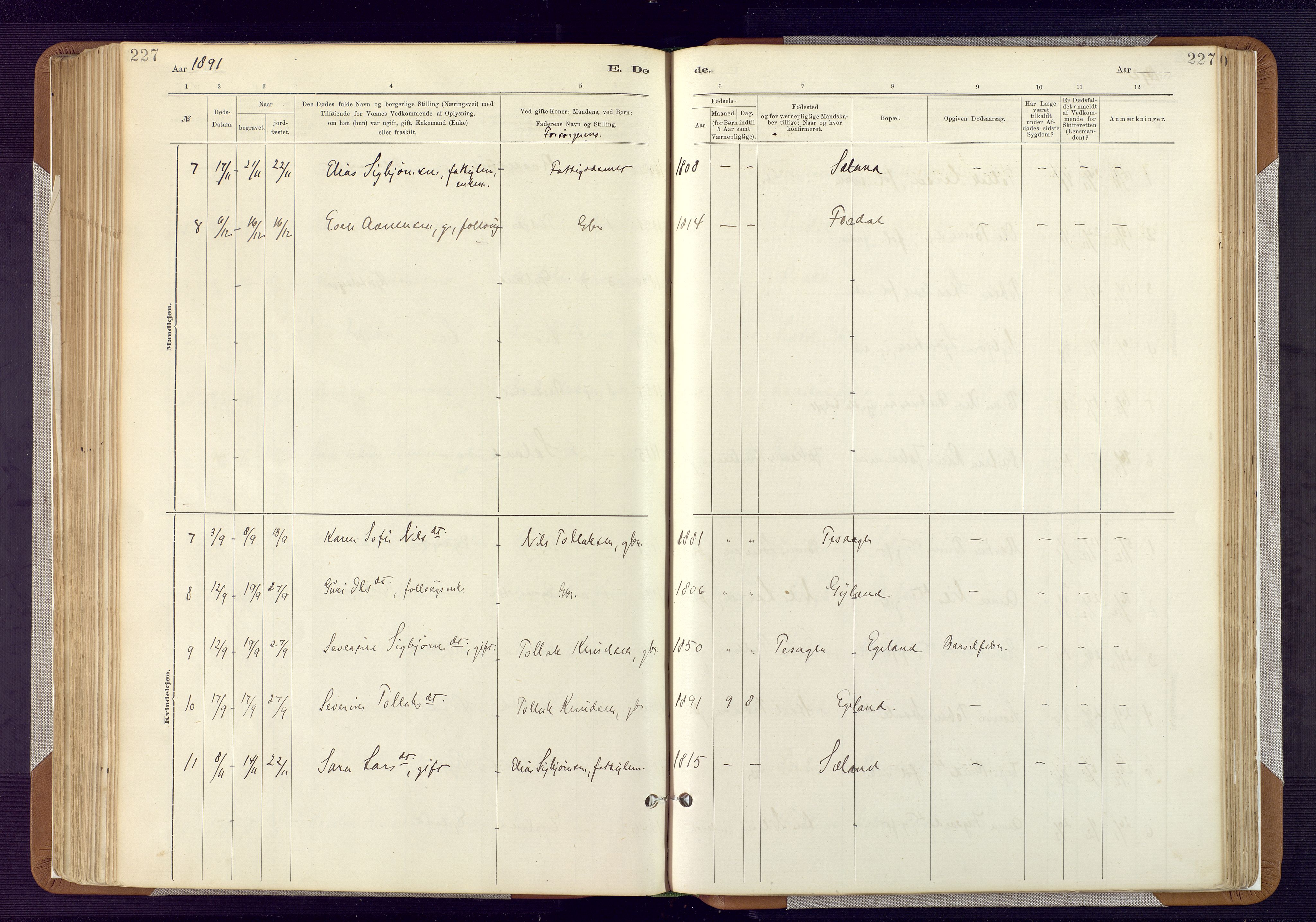 Bakke sokneprestkontor, AV/SAK-1111-0002/F/Fa/Fab/L0003: Parish register (official) no. A 3, 1884-1921, p. 227