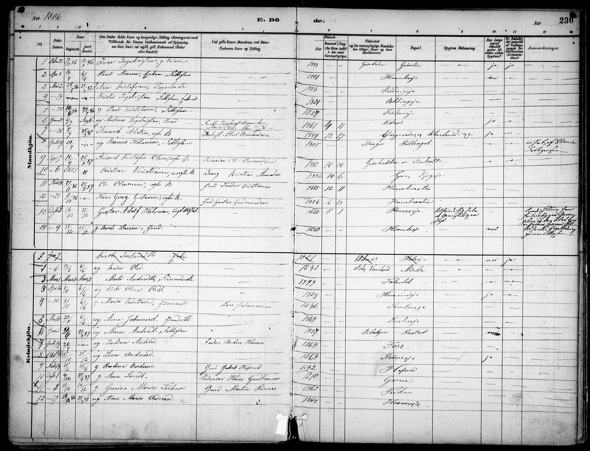 Nes prestekontor Kirkebøker, AV/SAO-A-10410/F/Fc/L0002: Parish register (official) no. IIi 2, 1882-1916, p. 236