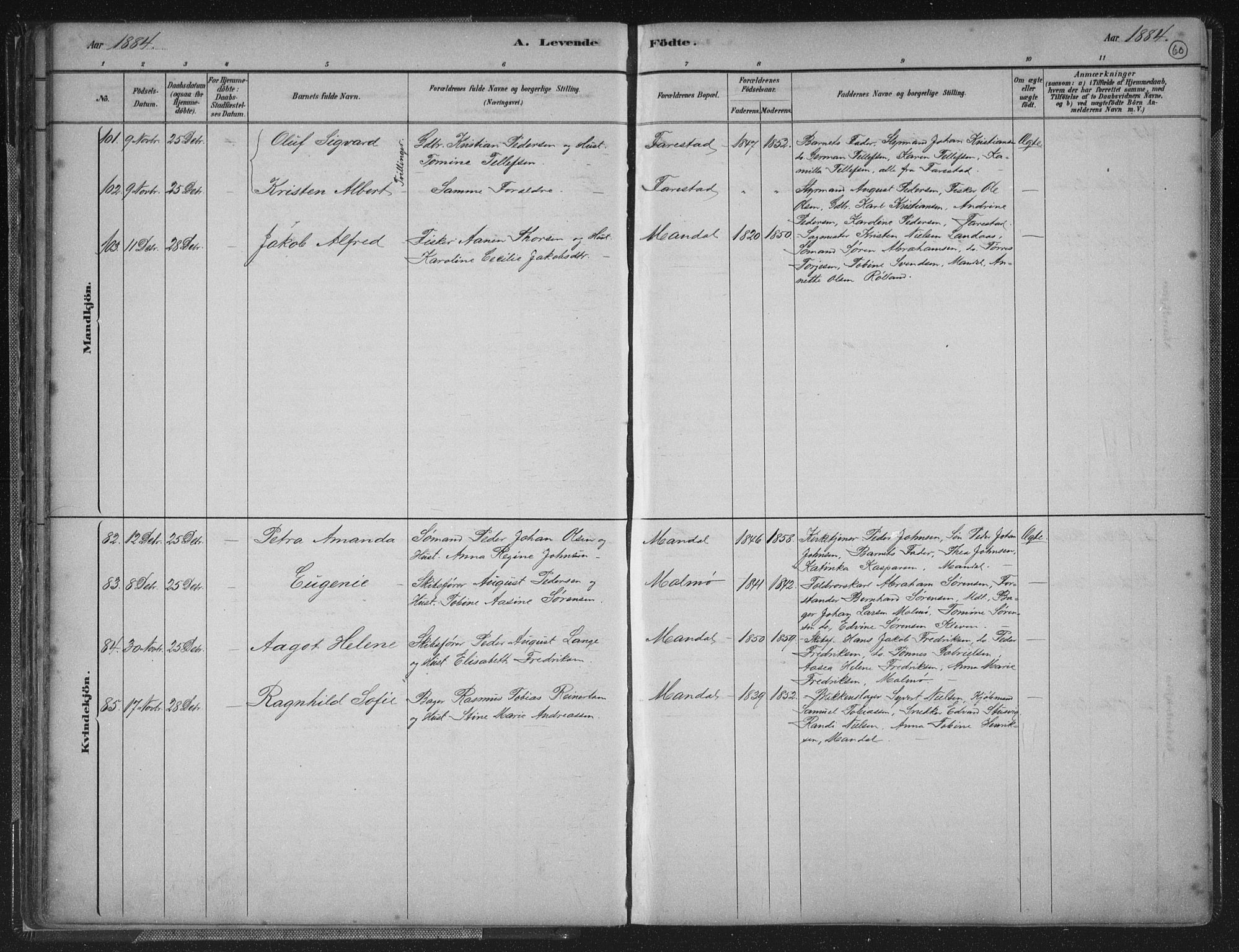 Mandal sokneprestkontor, AV/SAK-1111-0030/F/Fb/Fba/L0011: Parish register (copy) no. B 5, 1880-1898, p. 60