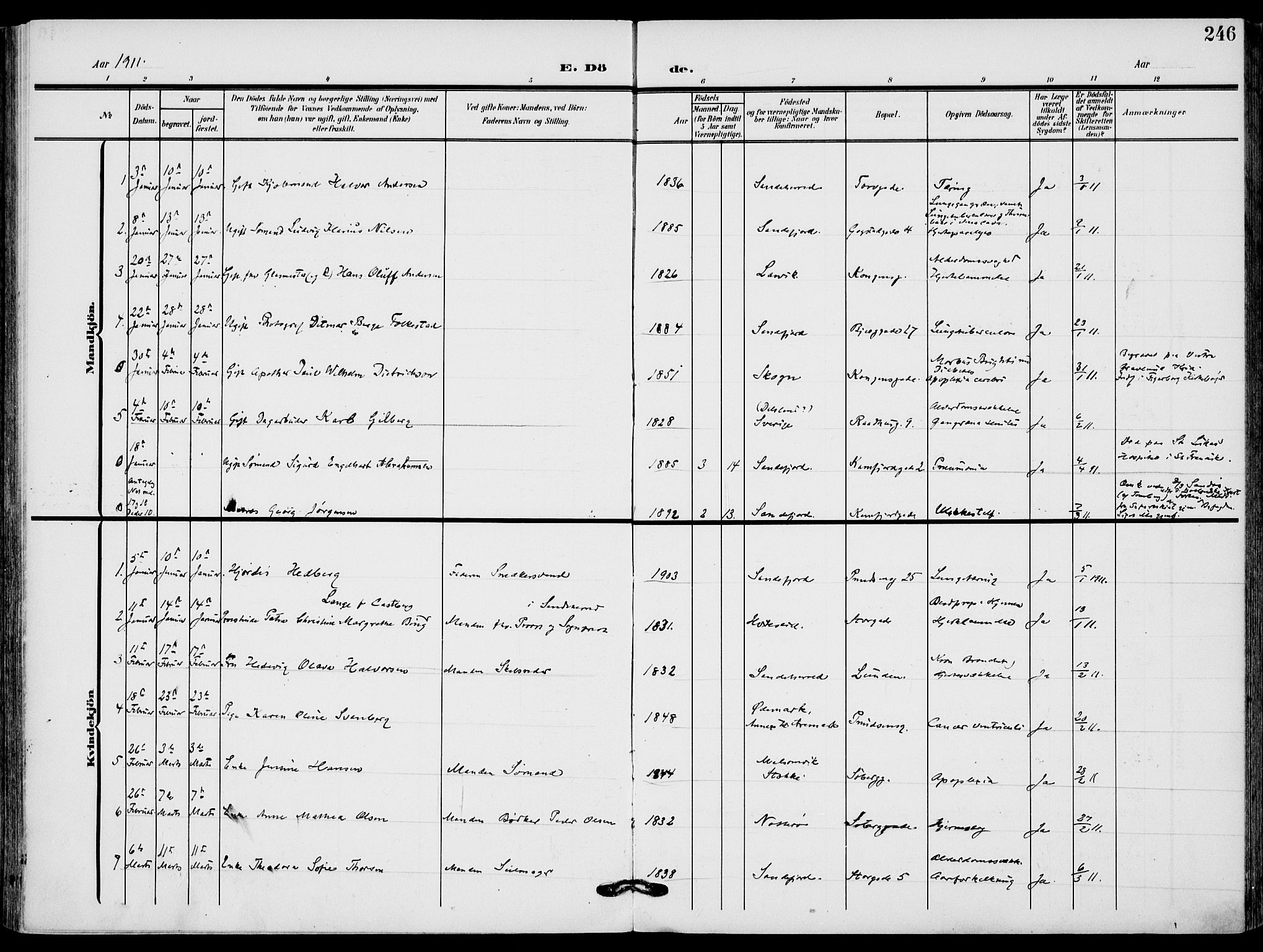 Sandefjord kirkebøker, SAKO/A-315/F/Fa/L0005: Parish register (official) no. 5, 1906-1915, p. 246