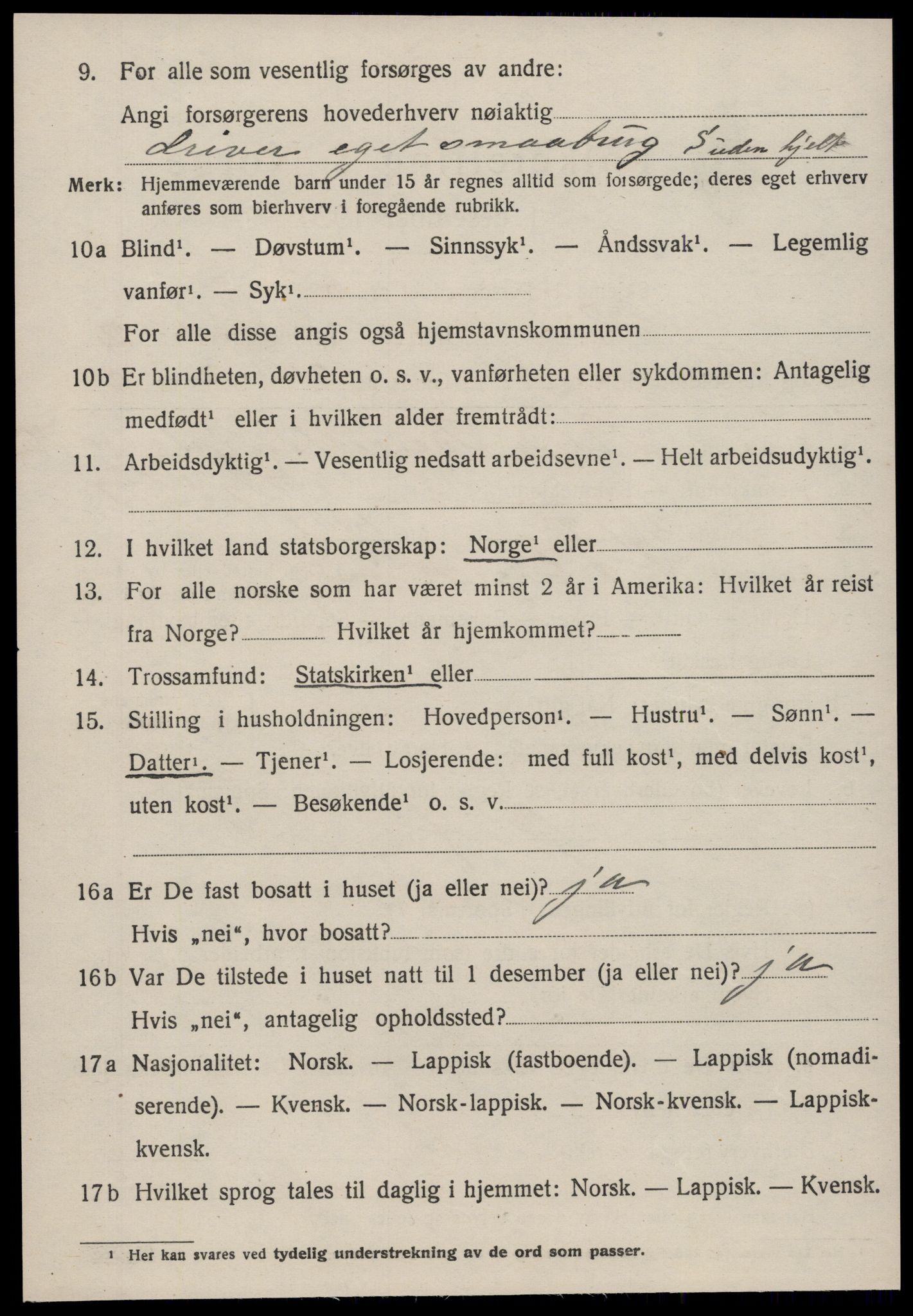 SAT, 1920 census for Heim, 1920, p. 1904