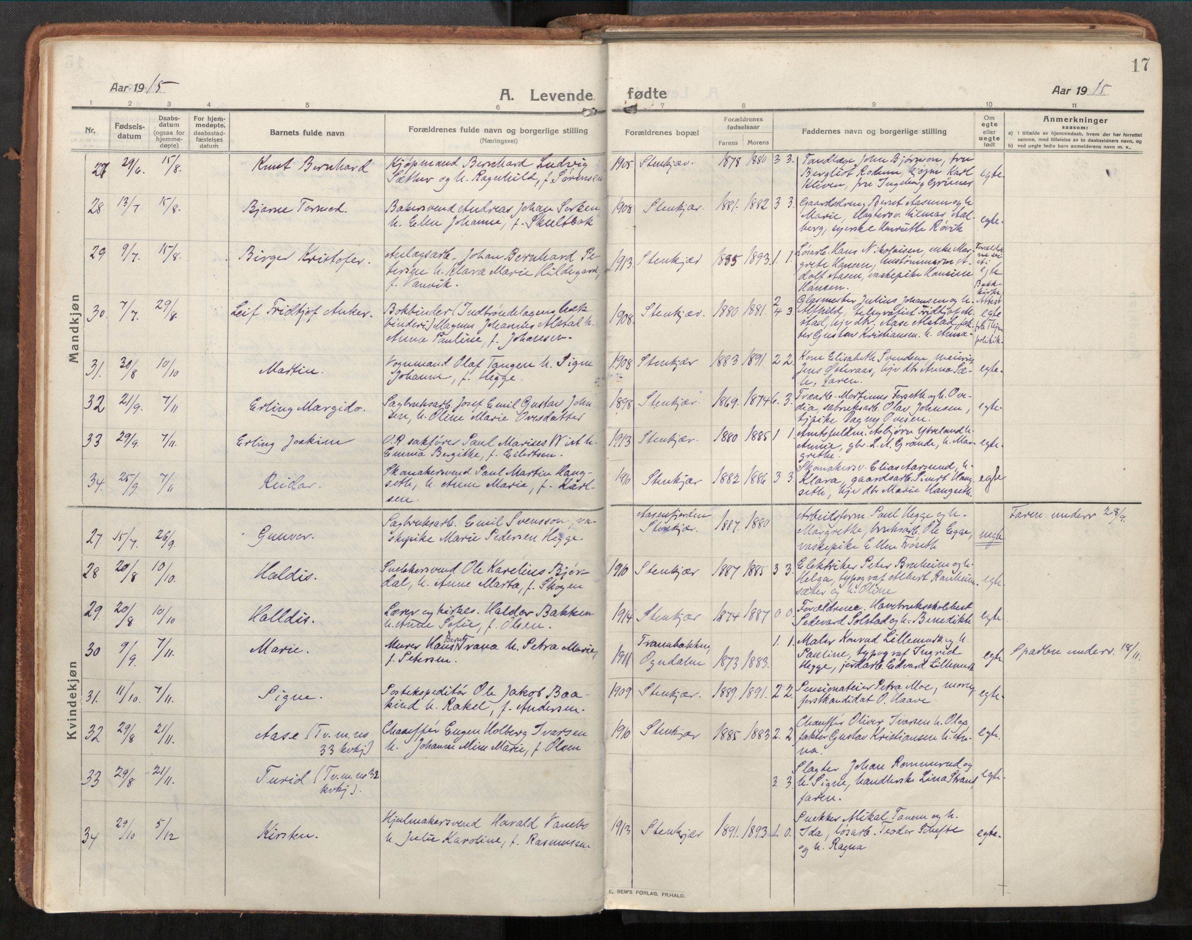 Steinkjer sokneprestkontor, AV/SAT-A-1541/01/H/Ha/Haa/L0003: Parish register (official) no. 3, 1913-1922, p. 17