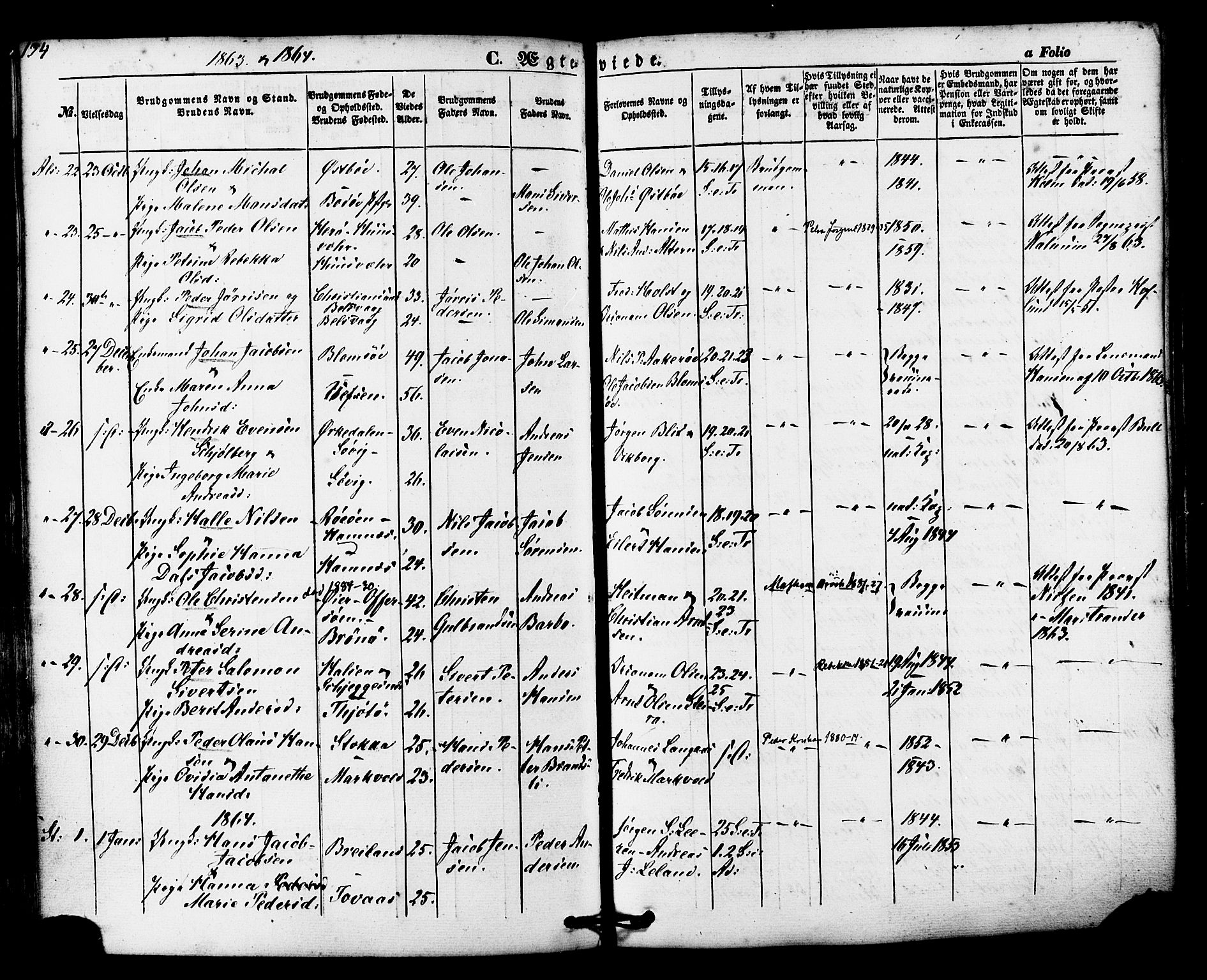 Ministerialprotokoller, klokkerbøker og fødselsregistre - Nordland, AV/SAT-A-1459/830/L0448: Parish register (official) no. 830A12, 1855-1878, p. 134