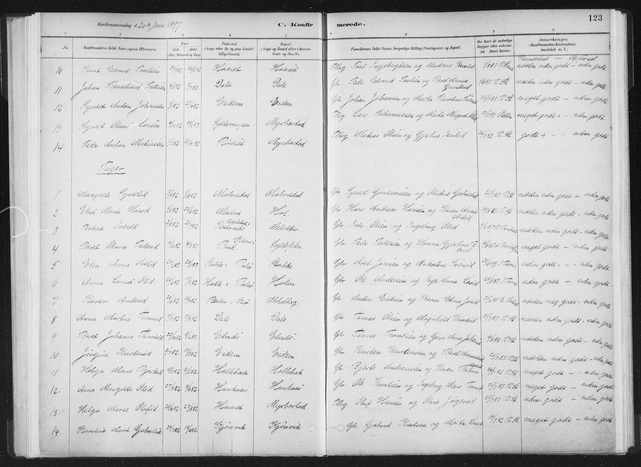 Ministerialprotokoller, klokkerbøker og fødselsregistre - Møre og Romsdal, SAT/A-1454/564/L0740: Parish register (official) no. 564A01, 1880-1899, p. 123