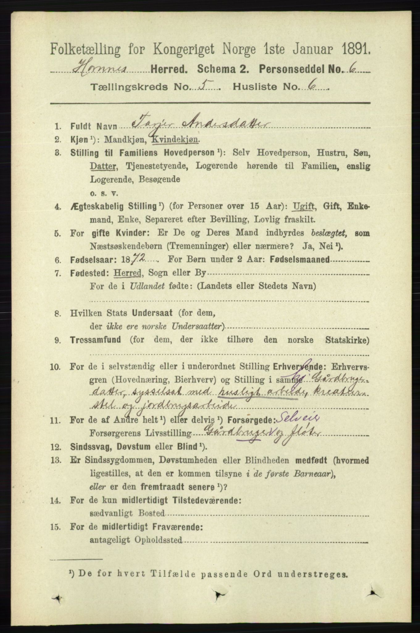 RA, 1891 census for 0936 Hornnes, 1891, p. 1393