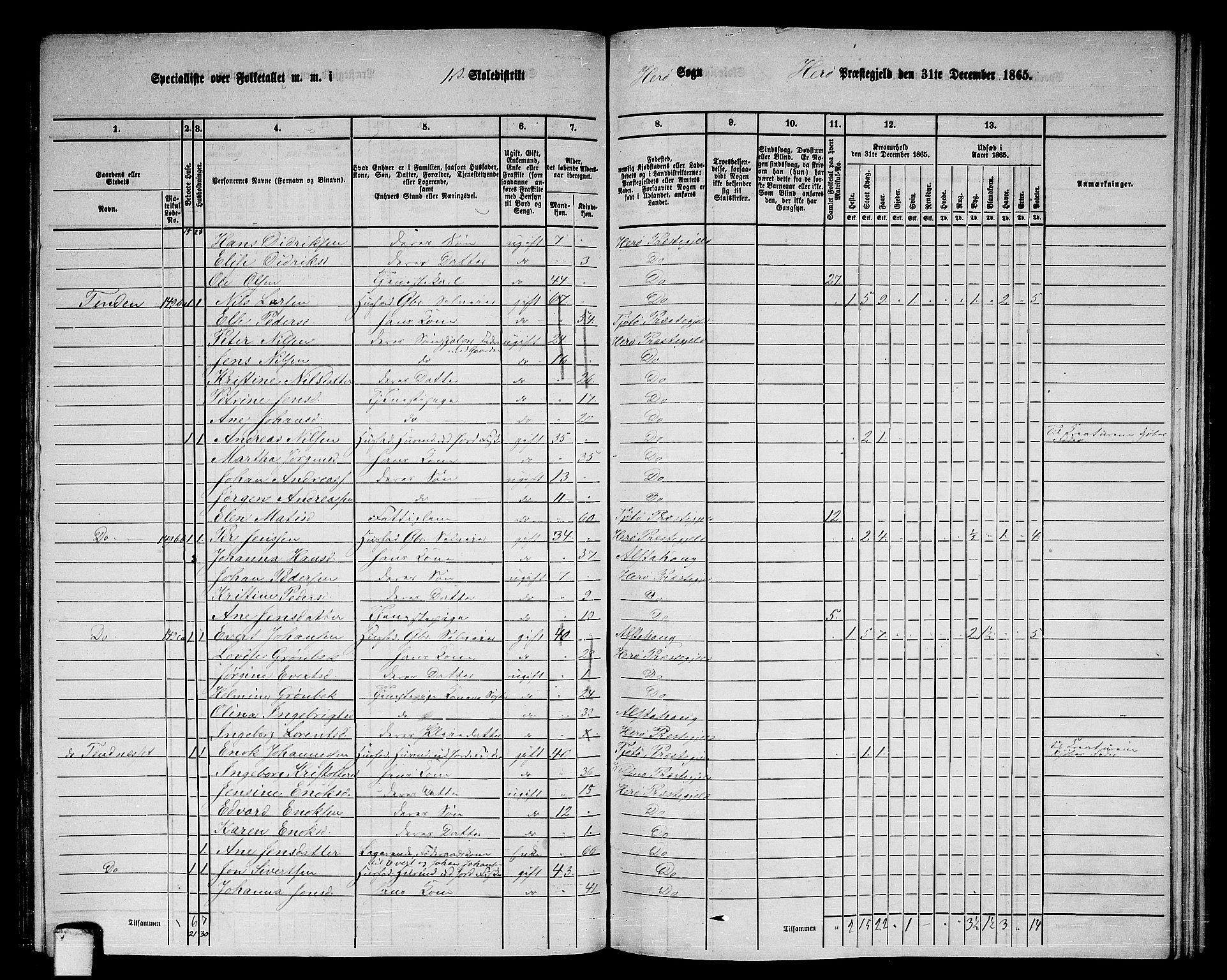 RA, 1865 census for Herøy, 1865, p. 11