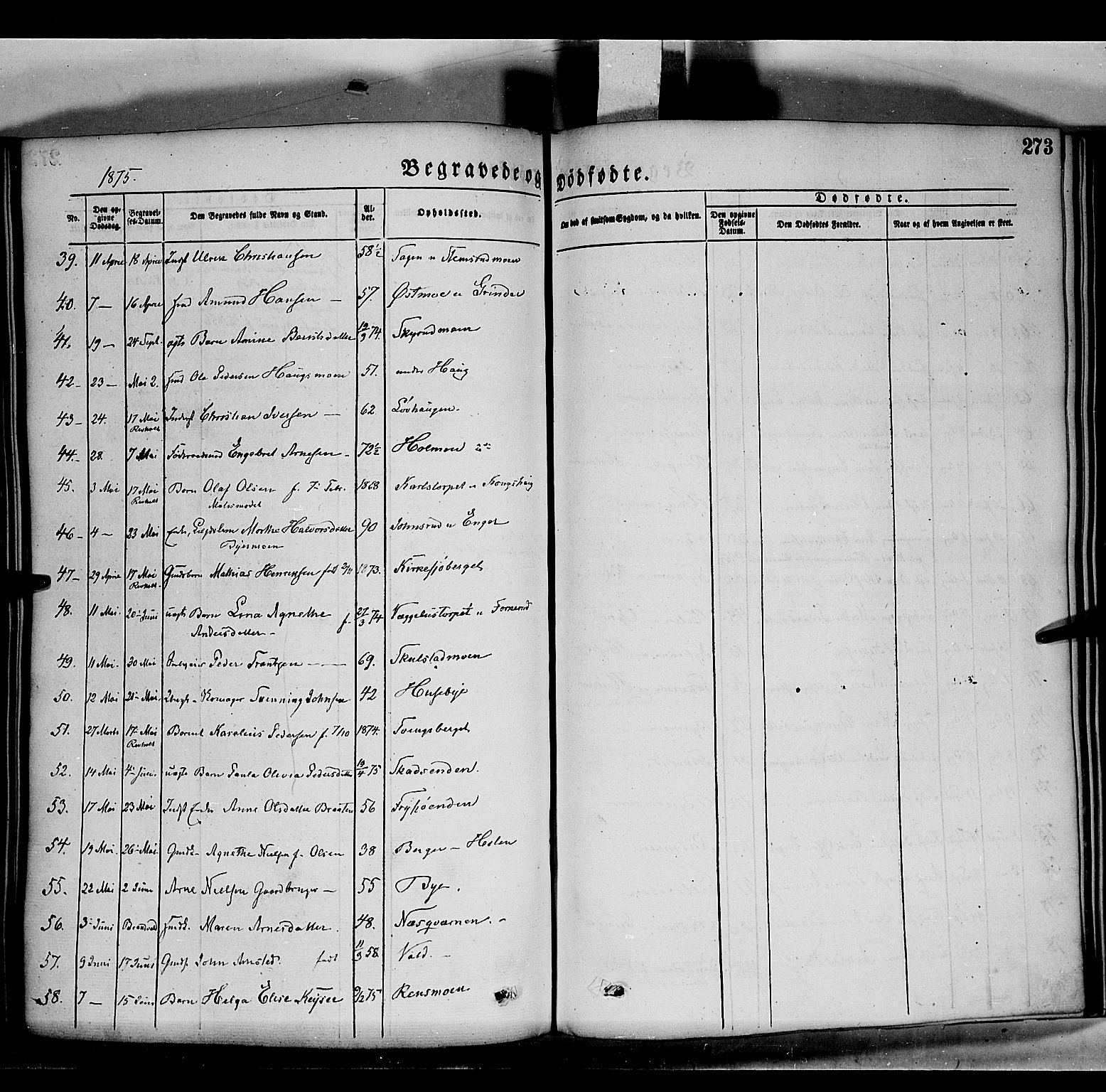 Grue prestekontor, AV/SAH-PREST-036/H/Ha/Haa/L0011: Parish register (official) no. 11, 1873-1880, p. 273