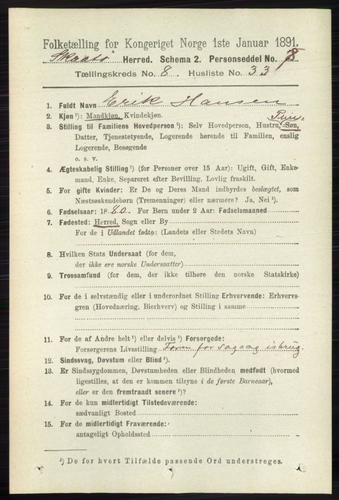 RA, 1891 census for 0815 Skåtøy, 1891, p. 3696