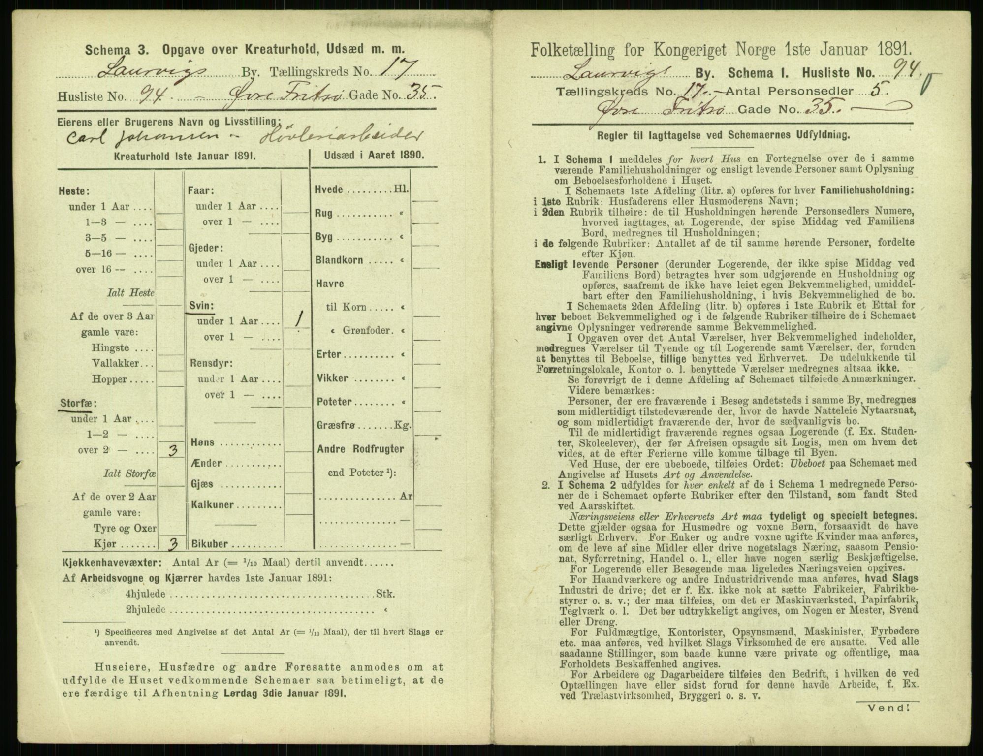 RA, 1891 census for 0707 Larvik, 1891, p. 2095