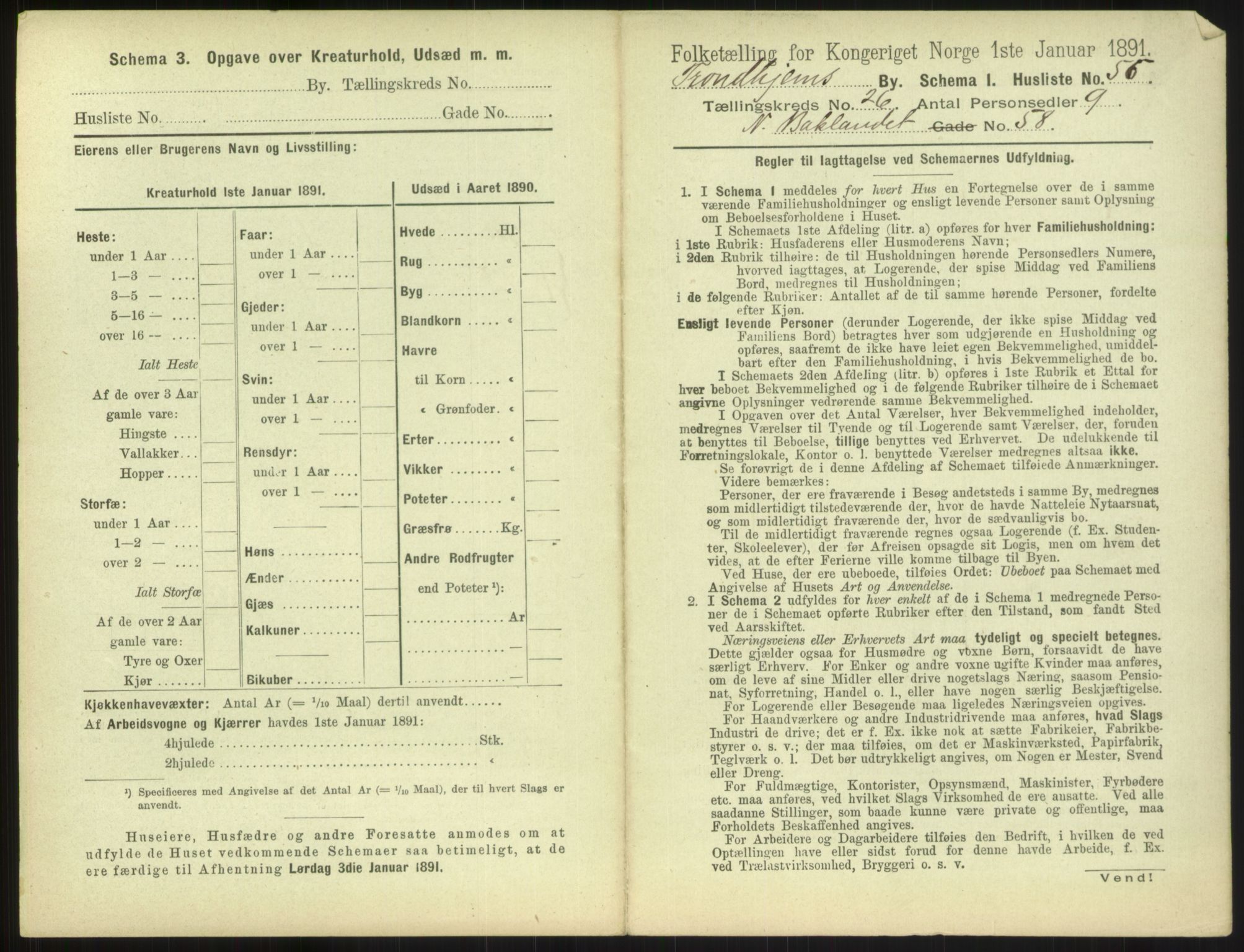 RA, 1891 census for 1601 Trondheim, 1891, p. 1876