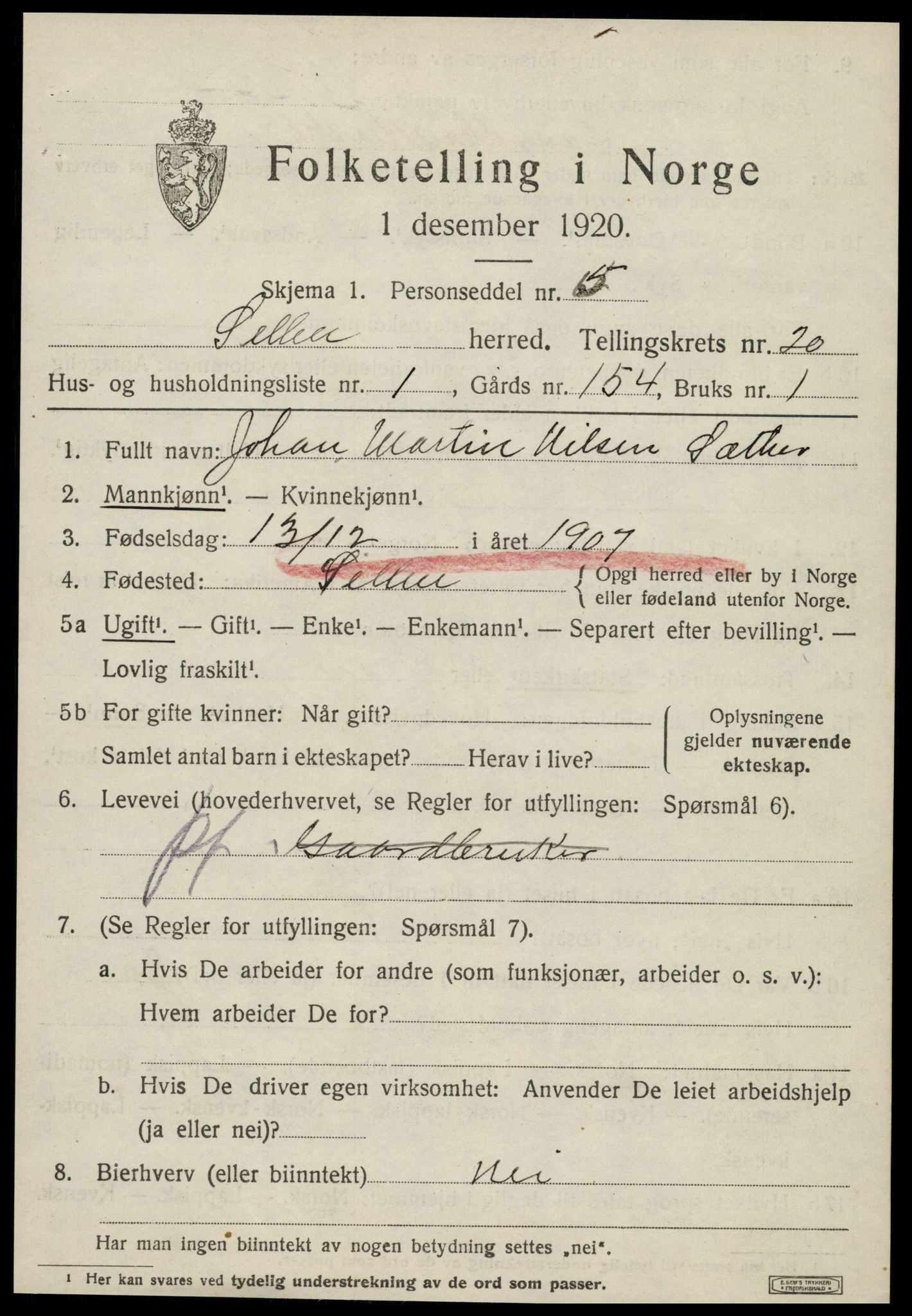 SAT, 1920 census for Selbu, 1920, p. 10216