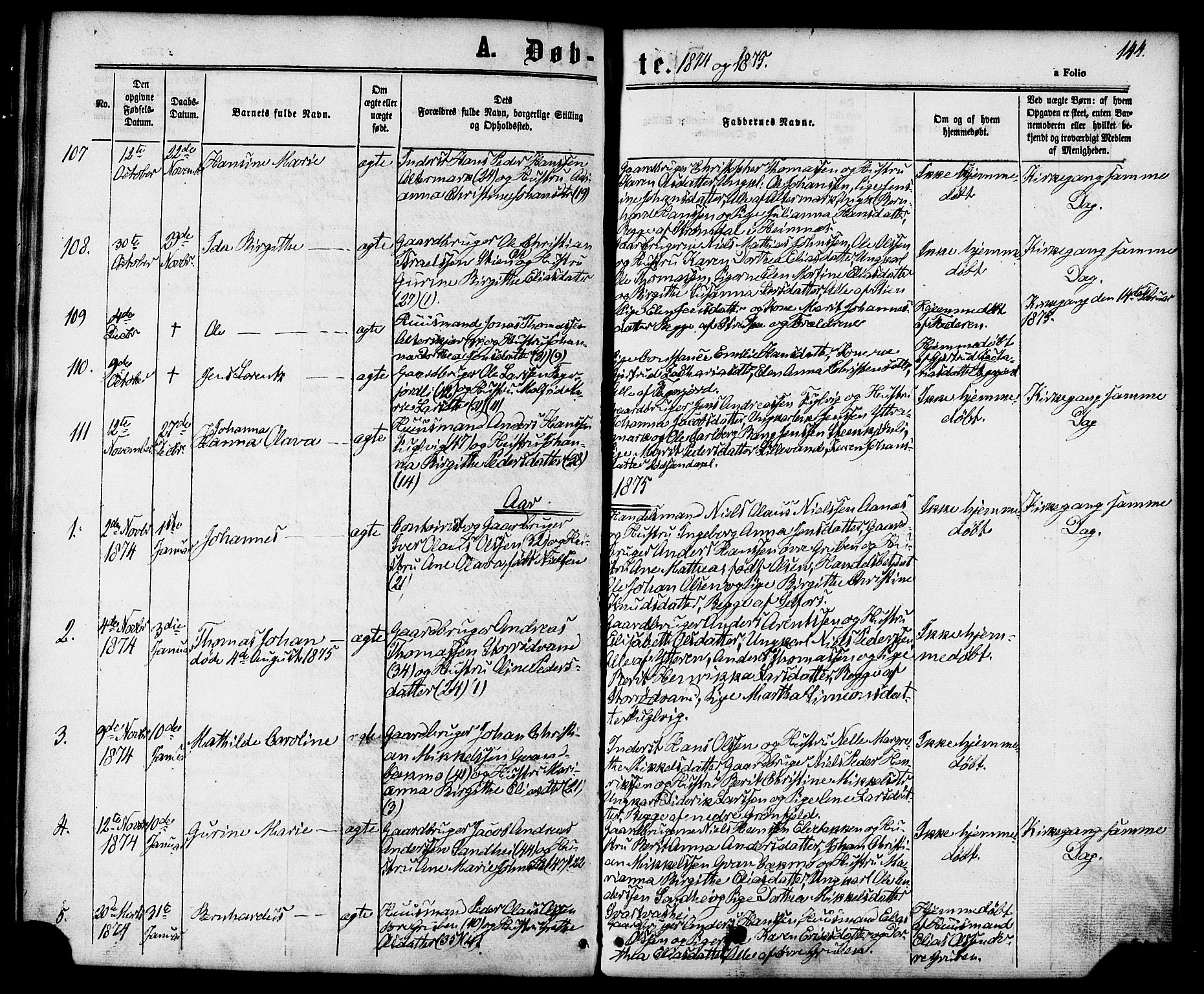 Ministerialprotokoller, klokkerbøker og fødselsregistre - Nordland, SAT/A-1459/827/L0393: Parish register (official) no. 827A05, 1863-1883, p. 144