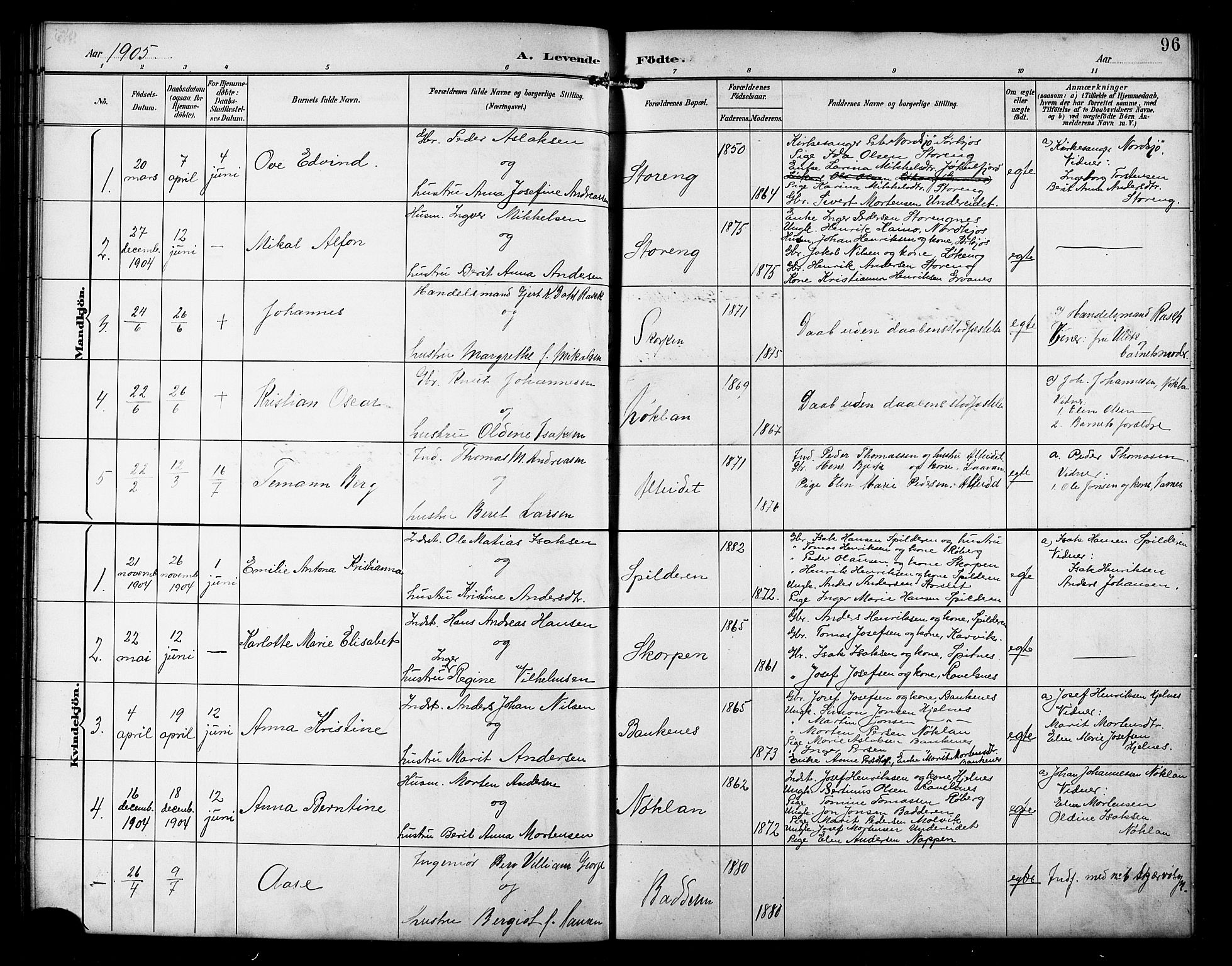 Skjervøy sokneprestkontor, AV/SATØ-S-1300/H/Ha/Hab/L0016klokker: Parish register (copy) no. 16, 1891-1907, p. 96