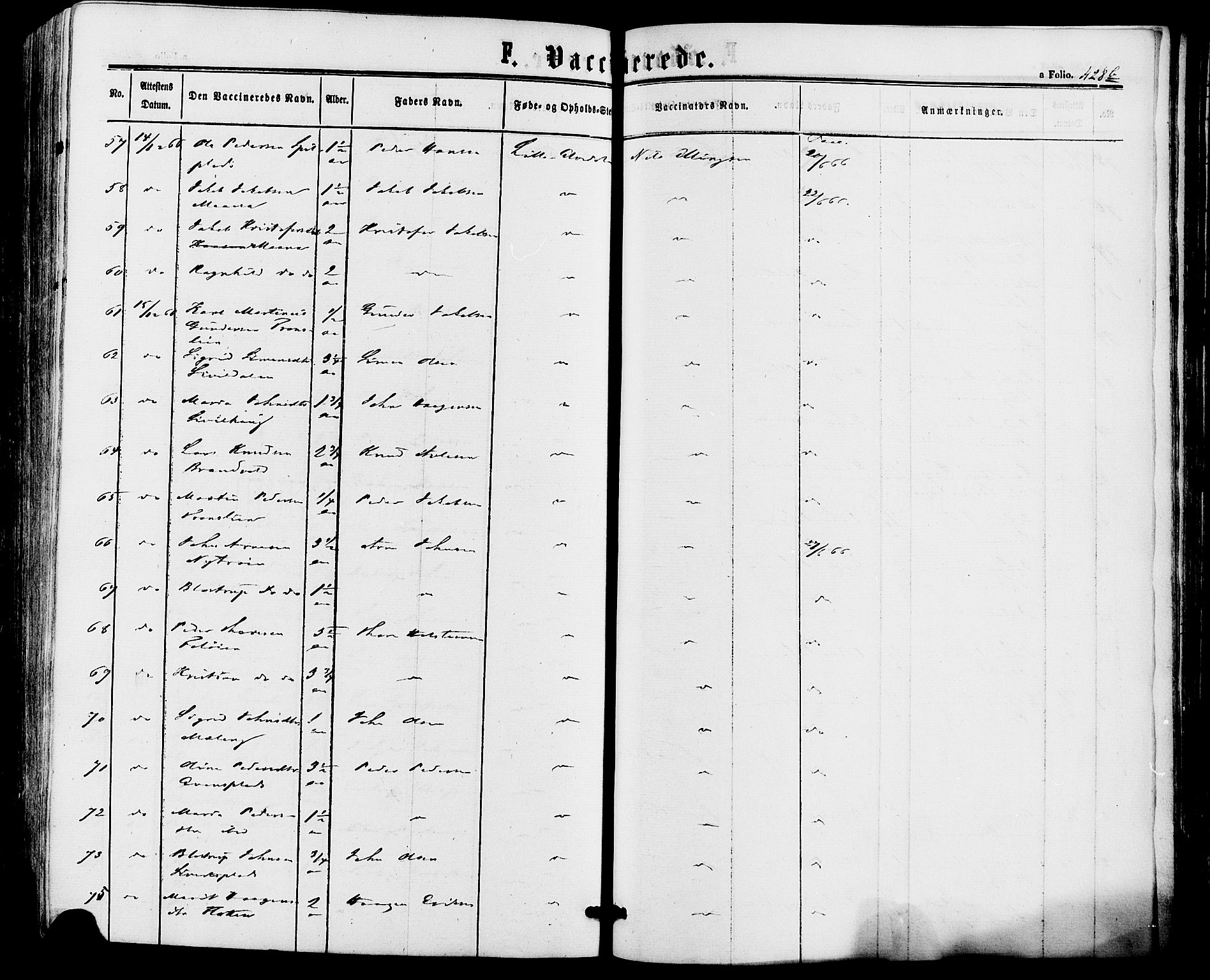 Alvdal prestekontor, AV/SAH-PREST-060/H/Ha/Haa/L0001: Parish register (official) no. 1, 1863-1882, p. 428b