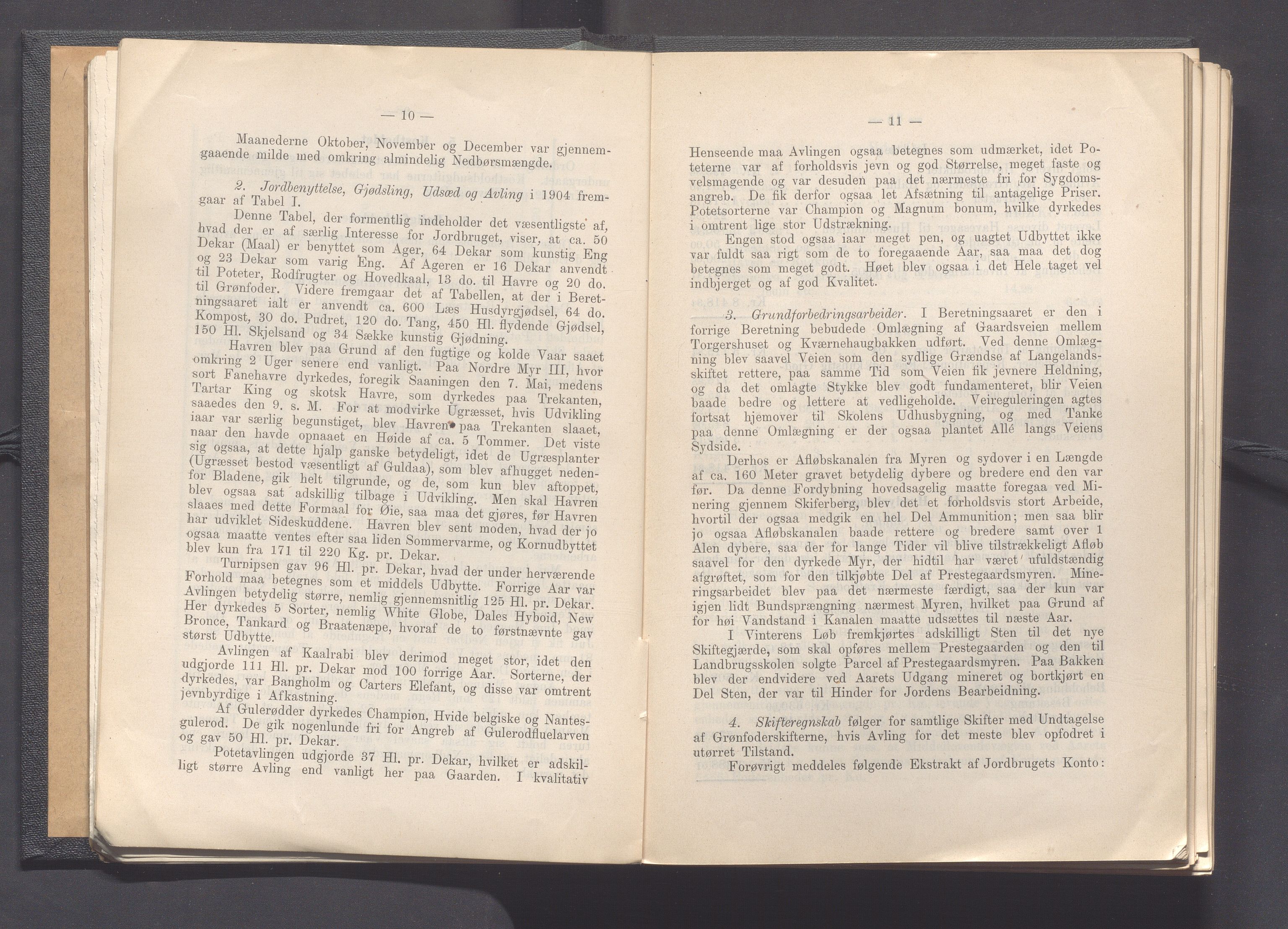 Rogaland fylkeskommune - Fylkesrådmannen , IKAR/A-900/A, 1906, p. 13
