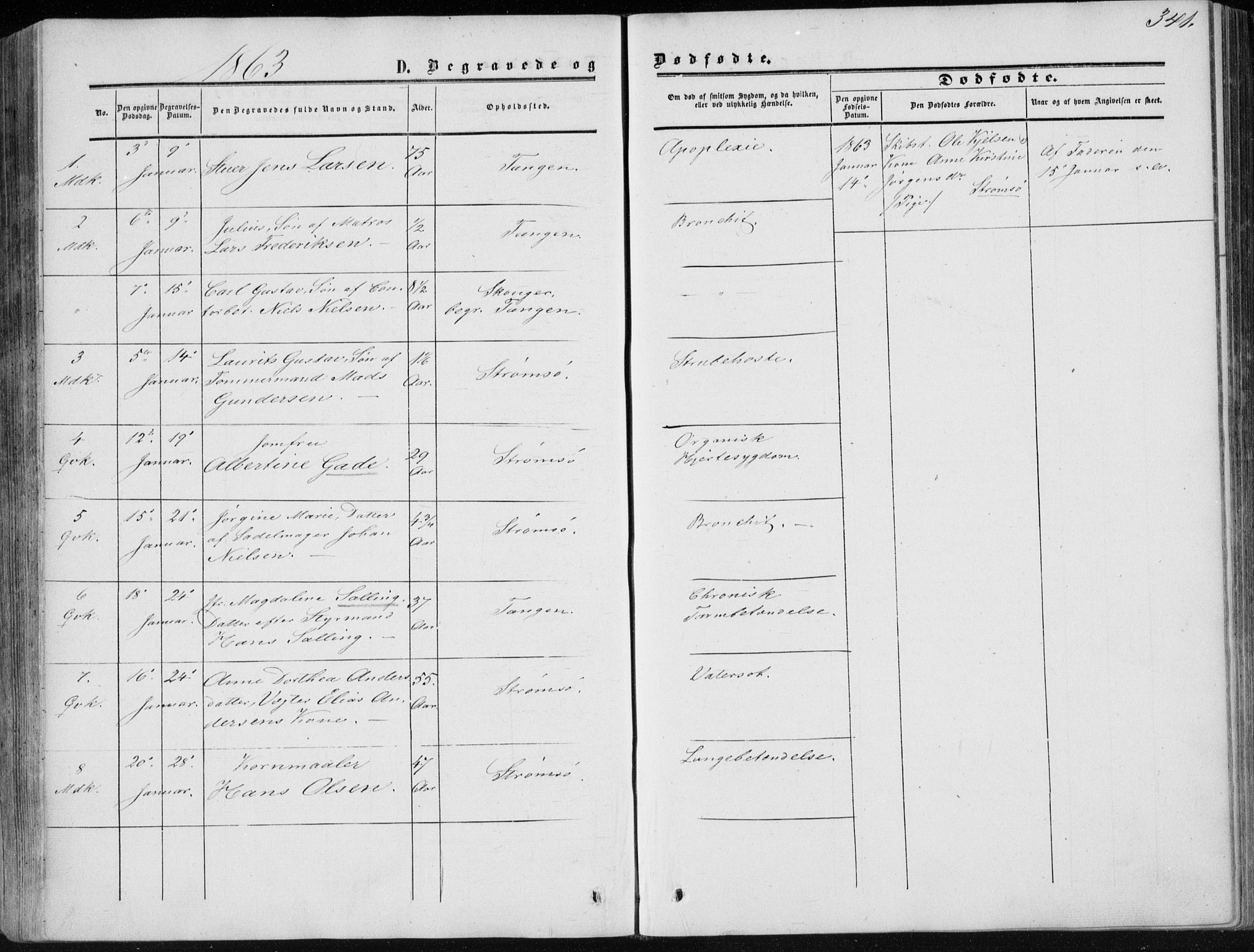Strømsø kirkebøker, SAKO/A-246/F/Fa/L0015: Parish register (official) no. I 15, 1859-1868, p. 341