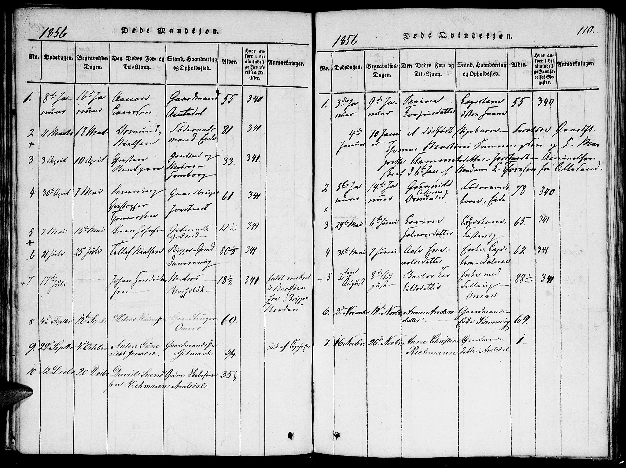 Hommedal sokneprestkontor, AV/SAK-1111-0023/F/Fa/Faa/L0001: Parish register (official) no. A 1, 1816-1860, p. 110