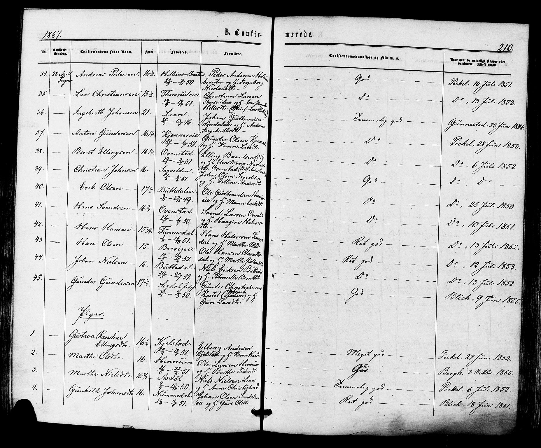Lier kirkebøker, SAKO/A-230/F/Fa/L0013: Parish register (official) no. I 13, 1865-1874, p. 210