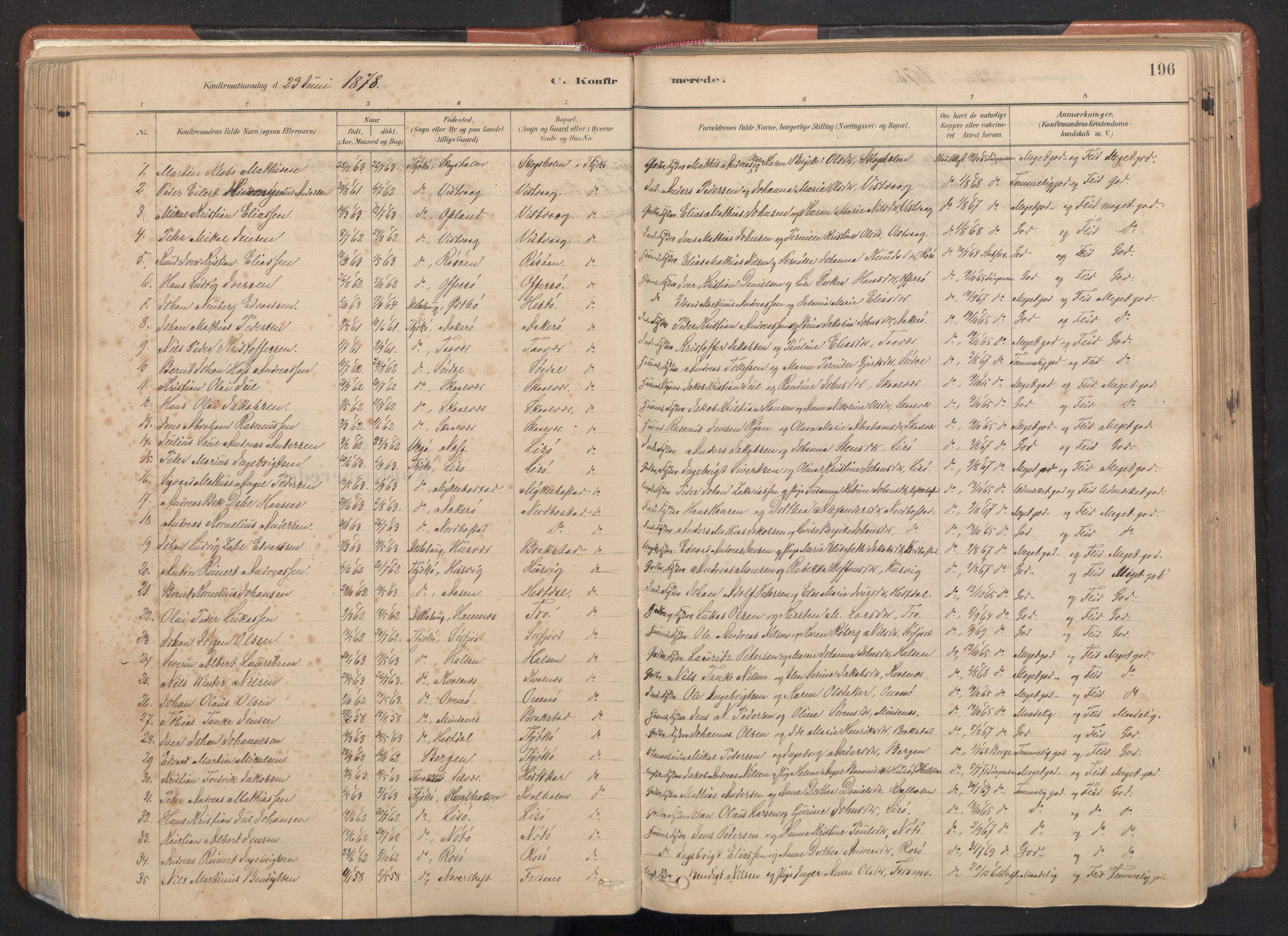 Ministerialprotokoller, klokkerbøker og fødselsregistre - Nordland, SAT/A-1459/817/L0264: Parish register (official) no. 817A04, 1878-1907, p. 196