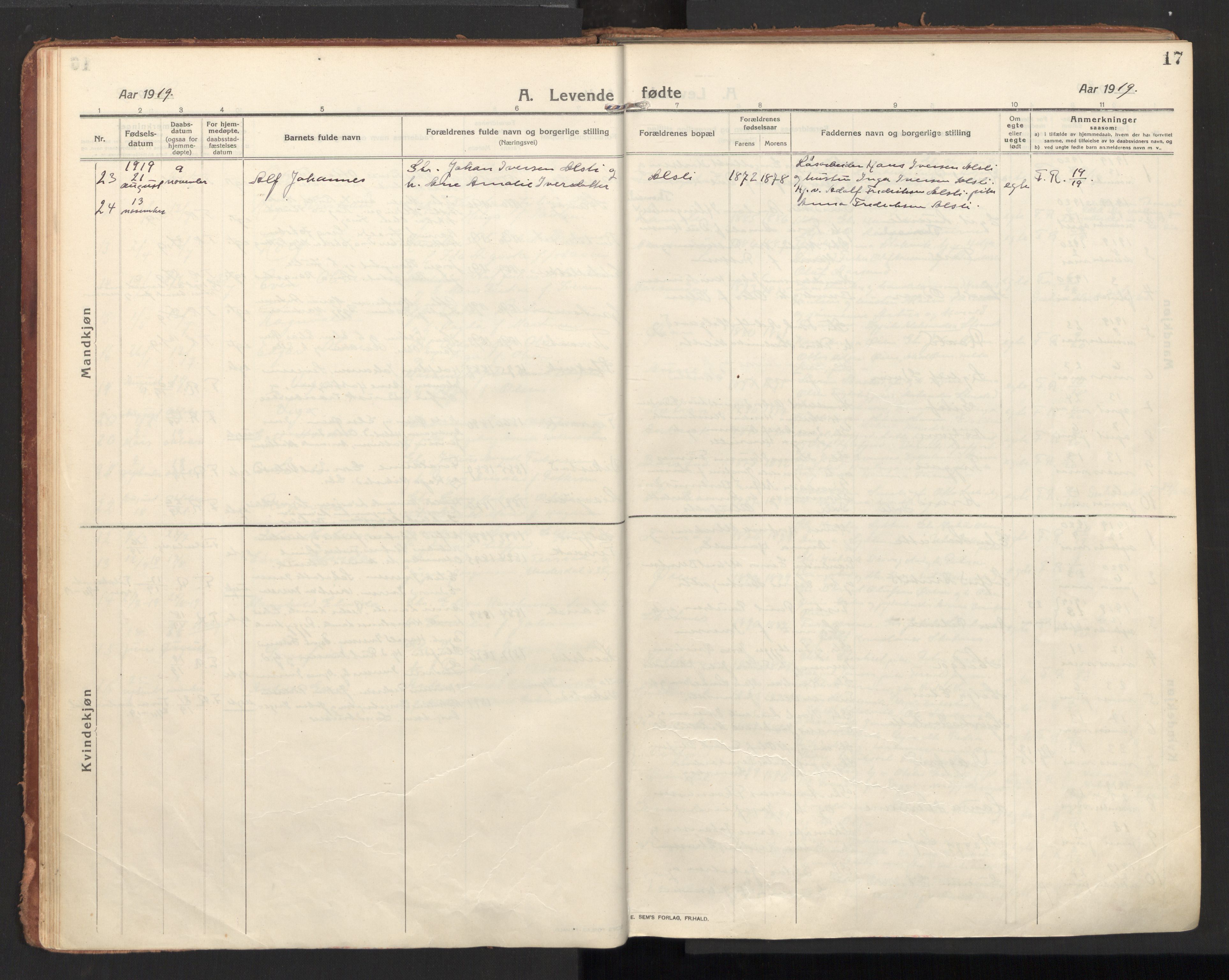 Ministerialprotokoller, klokkerbøker og fødselsregistre - Nordland, AV/SAT-A-1459/810/L0156: Parish register (official) no. 810A15, 1915-1930, p. 17