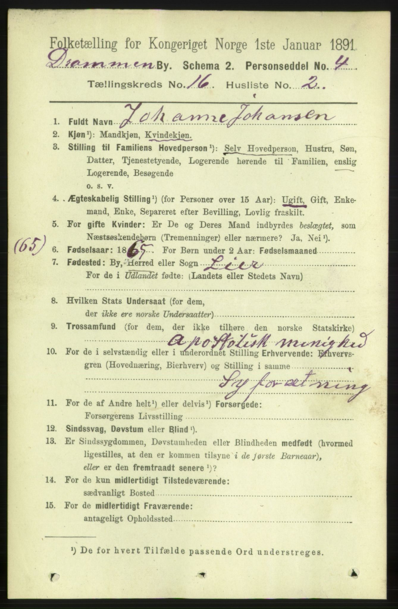 RA, 1891 census for 0602 Drammen, 1891, p. 10967