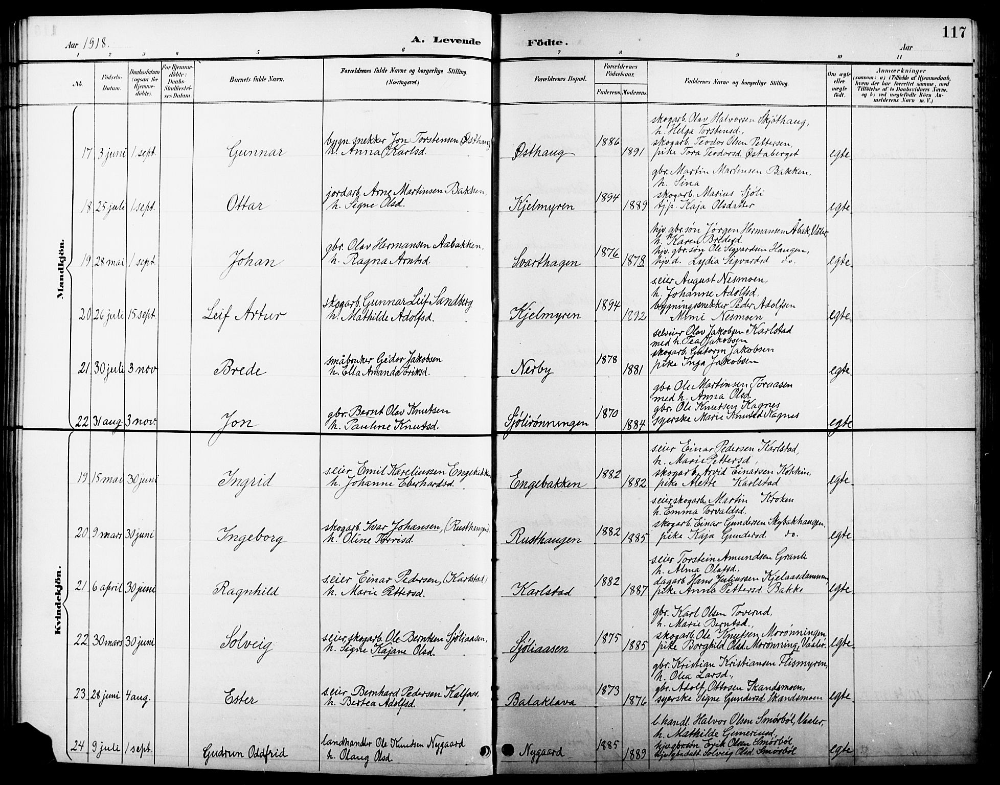 Åsnes prestekontor, AV/SAH-PREST-042/H/Ha/Hab/L0005: Parish register (copy) no. 5, 1895-1920, p. 117