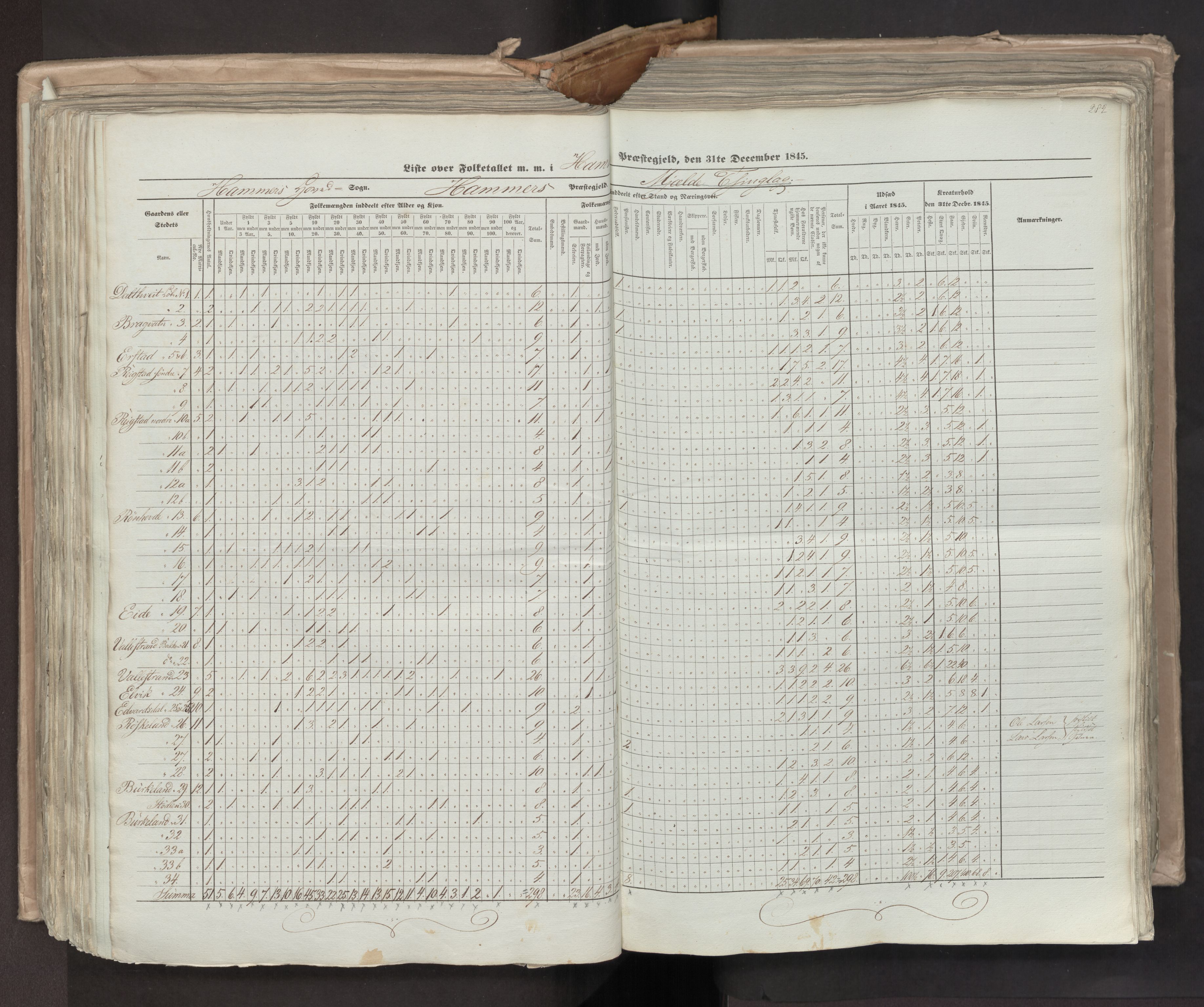 RA, Census 1845, vol. 7: Søndre Bergenhus amt og Nordre Bergenhus amt, 1845, p. 282