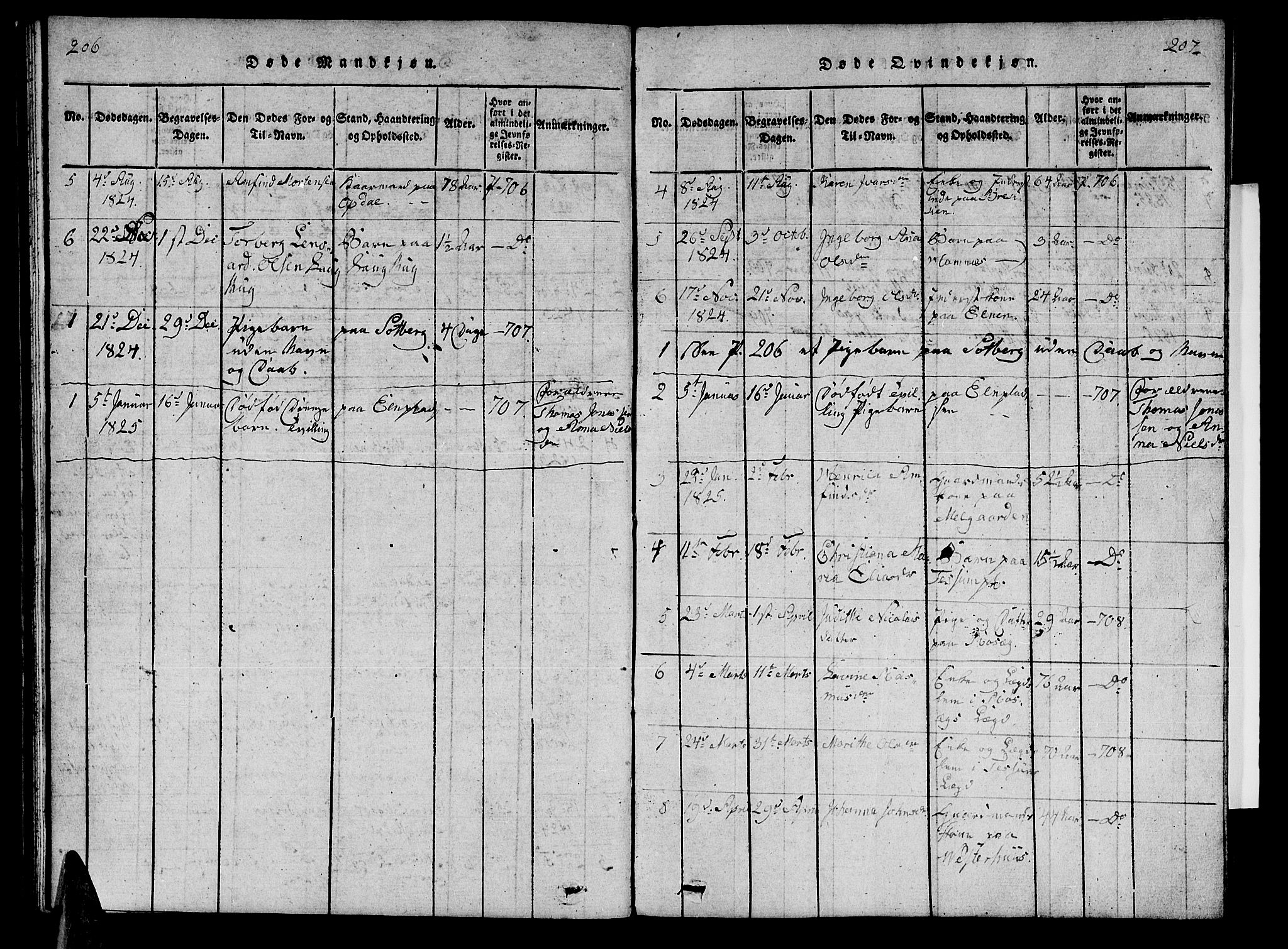 Ministerialprotokoller, klokkerbøker og fødselsregistre - Nord-Trøndelag, SAT/A-1458/741/L0400: Parish register (copy) no. 741C01, 1817-1825, p. 206-207