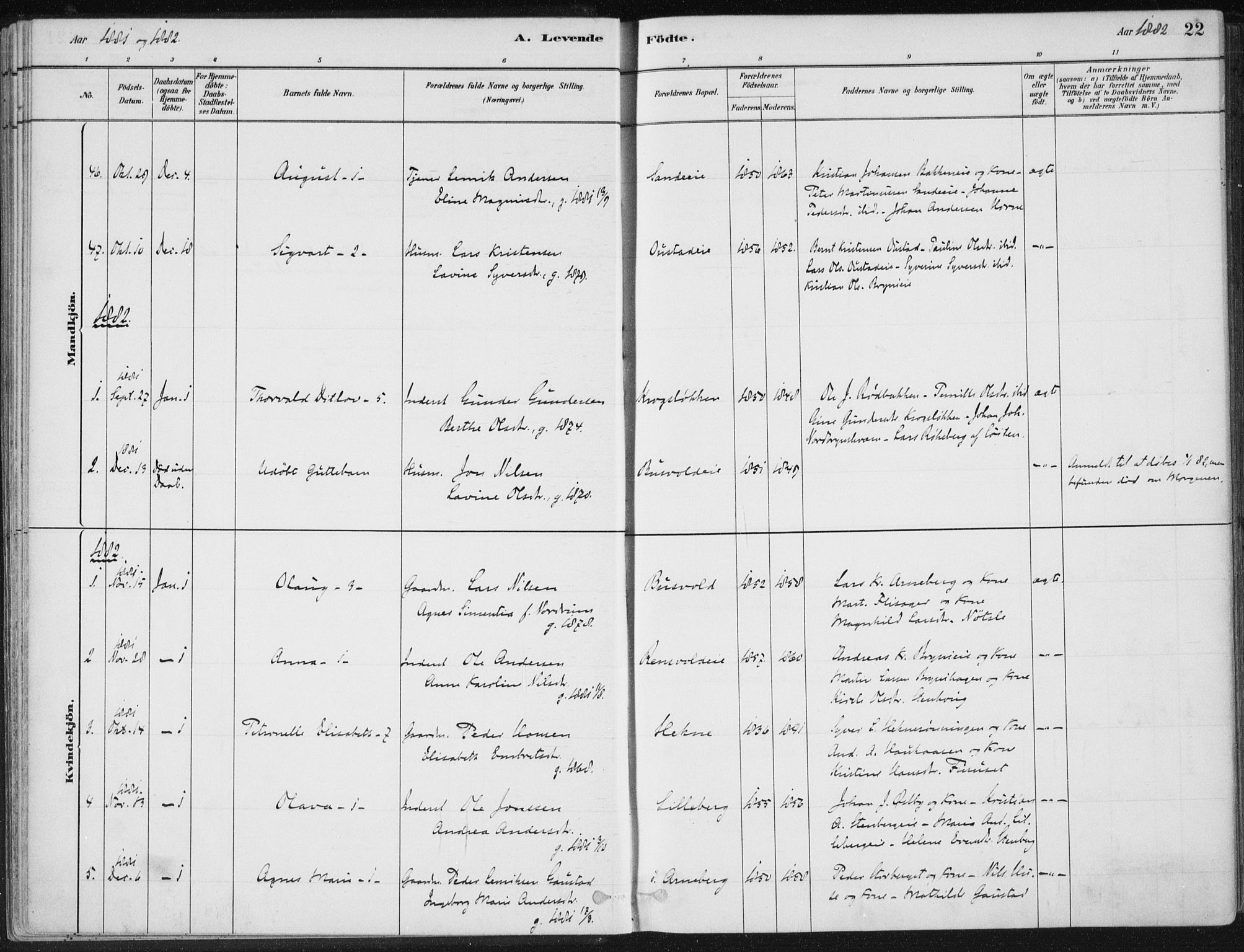 Romedal prestekontor, SAH/PREST-004/K/L0010: Parish register (official) no. 10, 1880-1895, p. 22