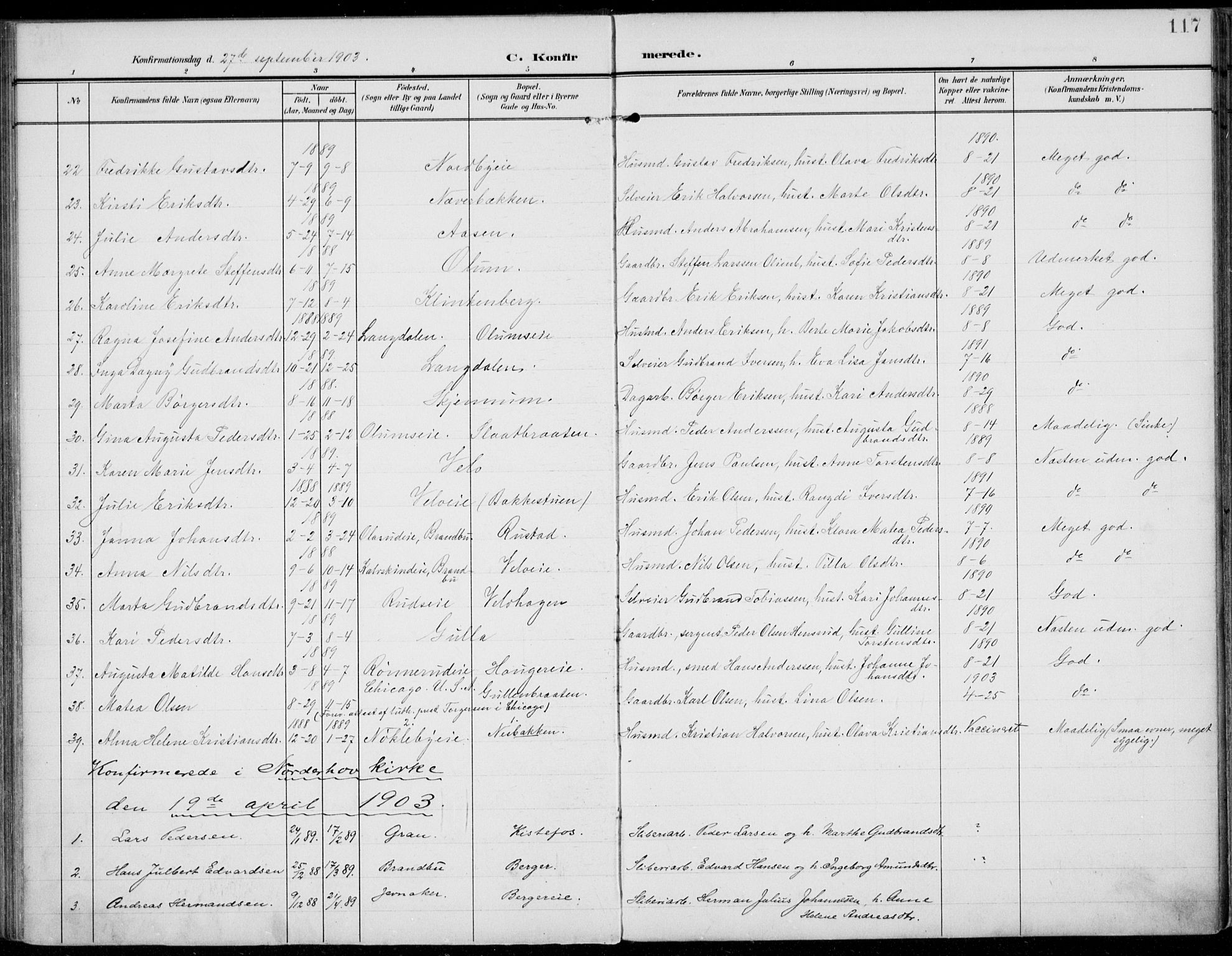Jevnaker prestekontor, SAH/PREST-116/H/Ha/Haa/L0011: Parish register (official) no. 11, 1902-1913, p. 117