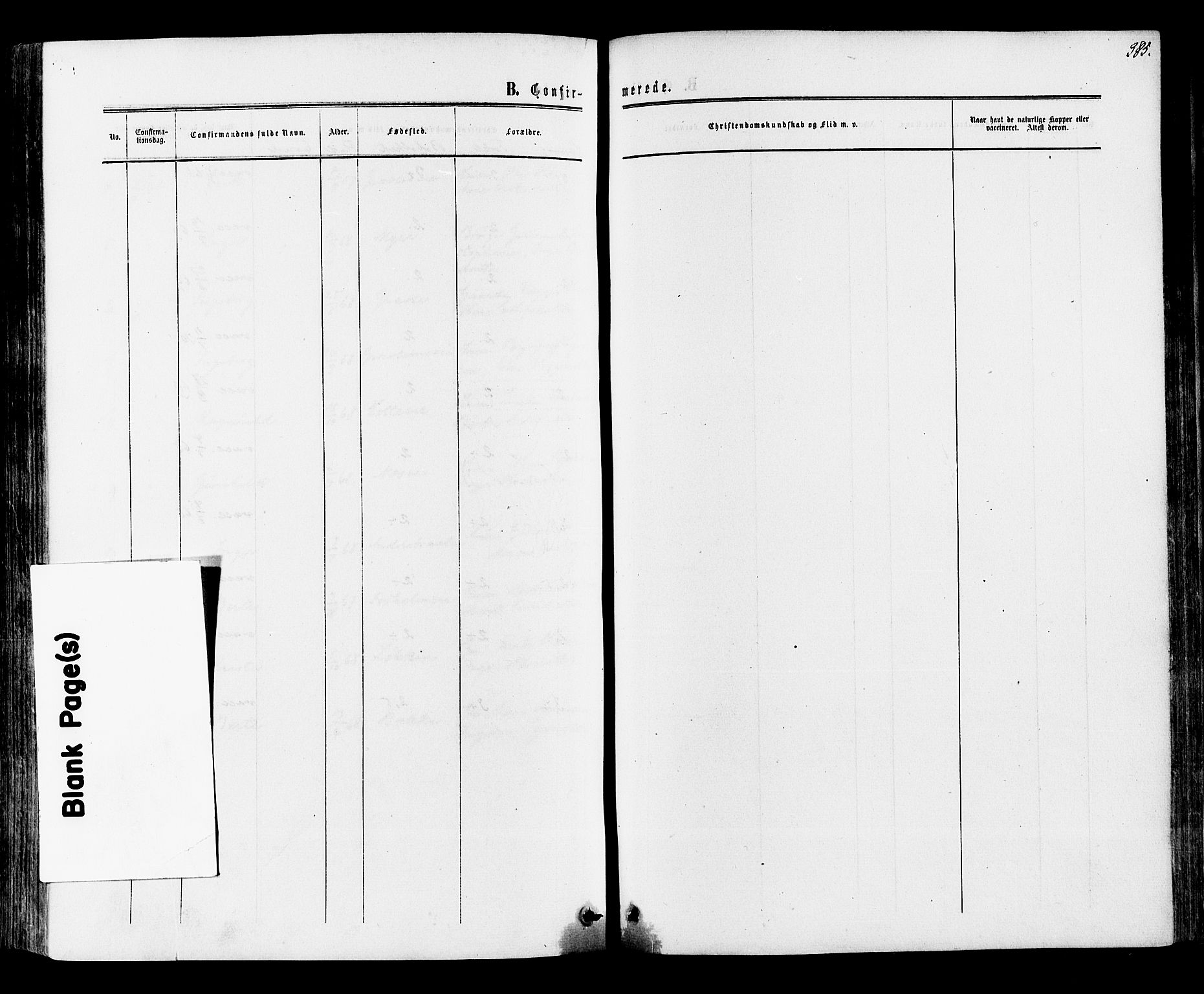 Ådal kirkebøker, AV/SAKO-A-248/F/Fa/L0001: Parish register (official) no. I 1, 1857-1883, p. 385