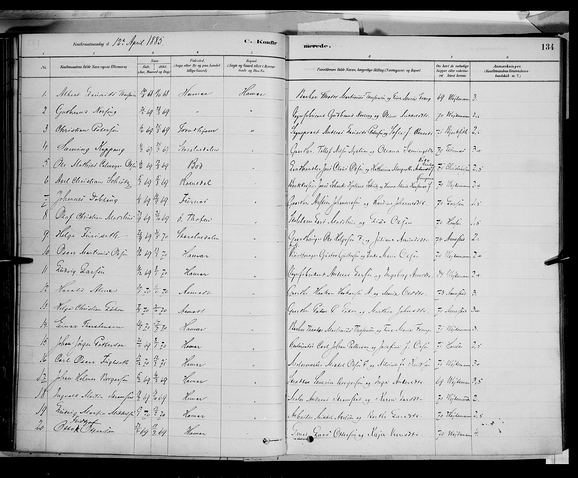 Vang prestekontor, Hedmark, SAH/PREST-008/H/Ha/Haa/L0016: Parish register (official) no. 16, 1878-1889, p. 134