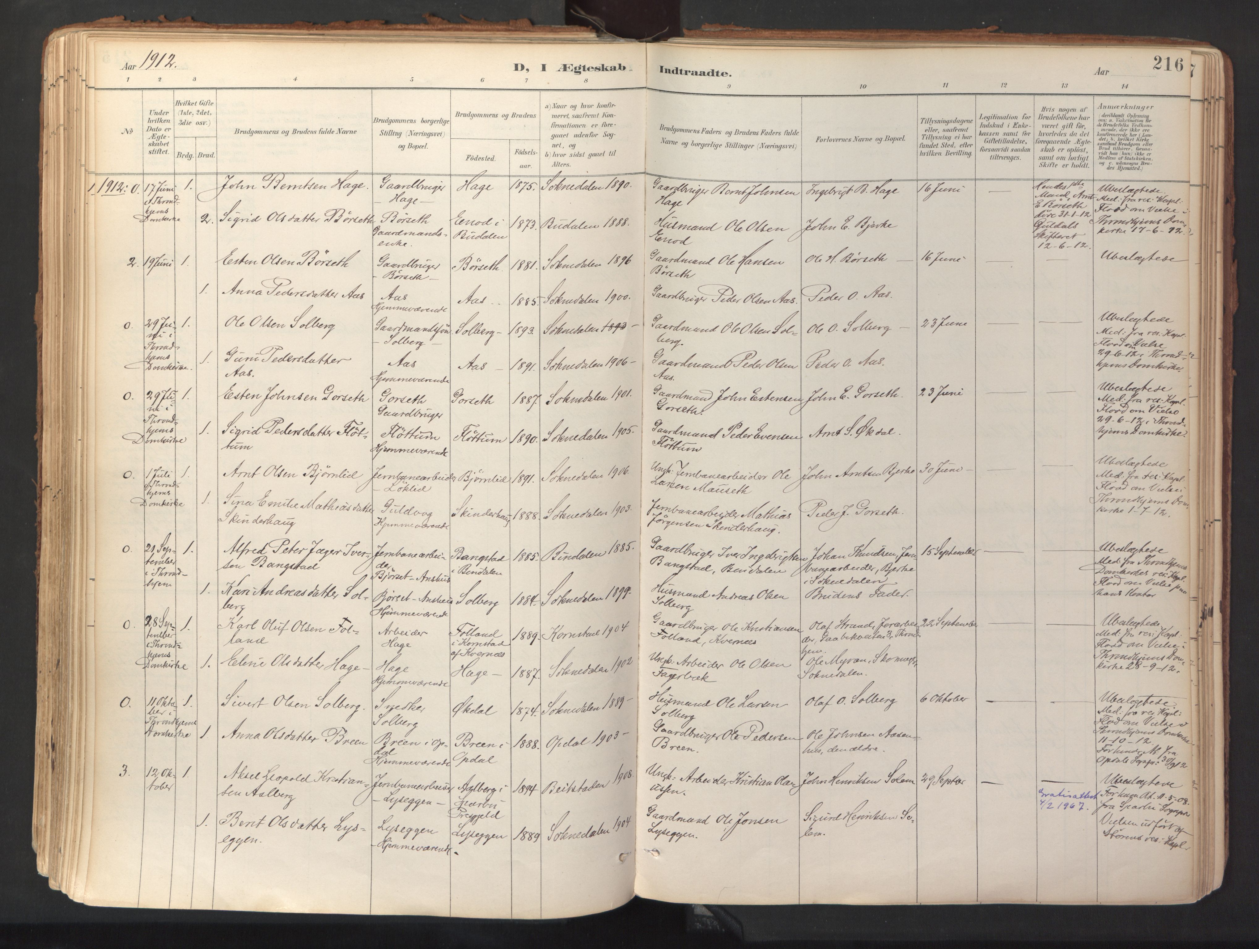 Ministerialprotokoller, klokkerbøker og fødselsregistre - Sør-Trøndelag, SAT/A-1456/689/L1041: Parish register (official) no. 689A06, 1891-1923, p. 216