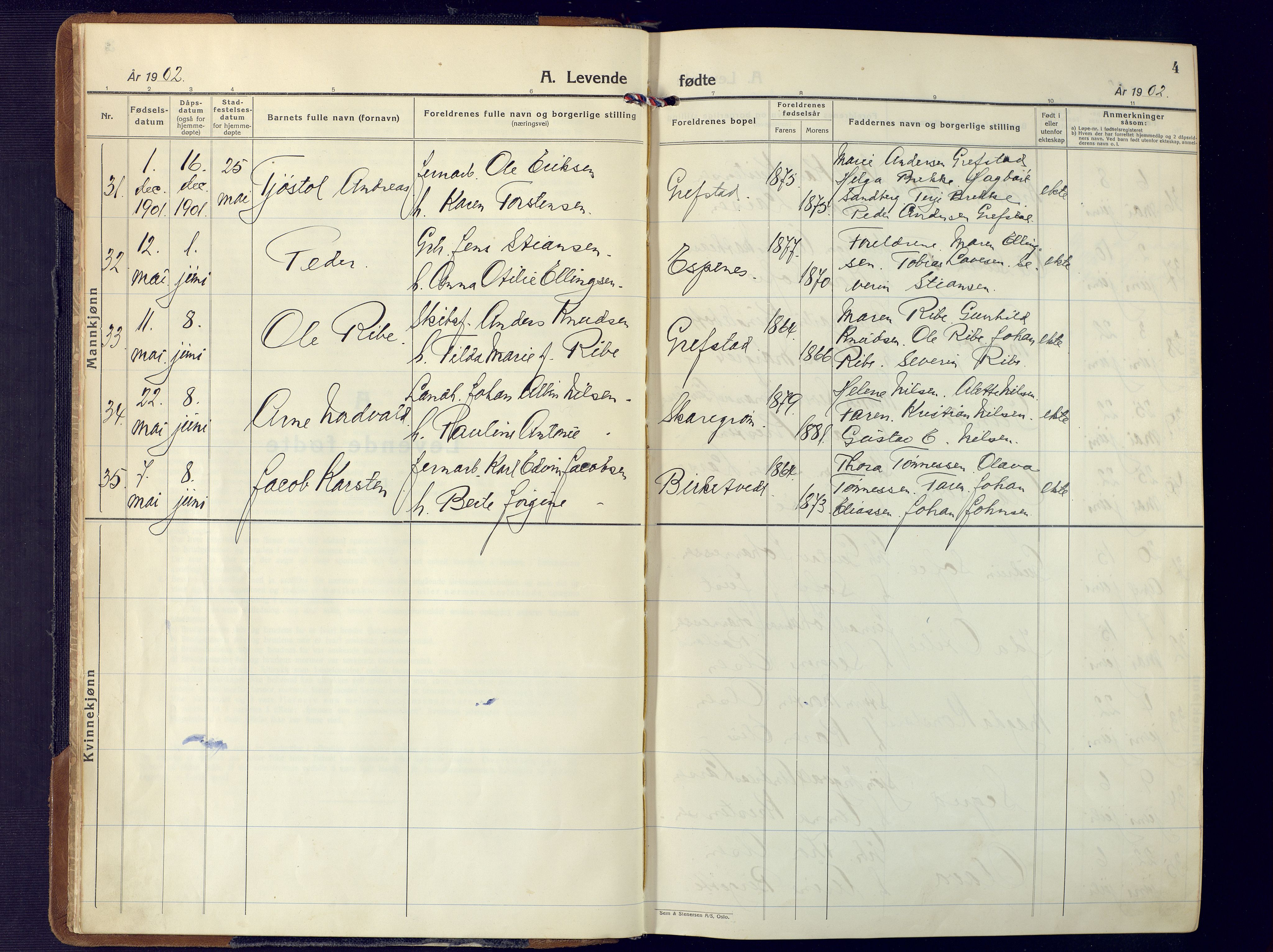 Fjære sokneprestkontor, SAK/1111-0011/F/Fa/L0004: Parish register (official) no. A 4, 1902-1925, p. 4