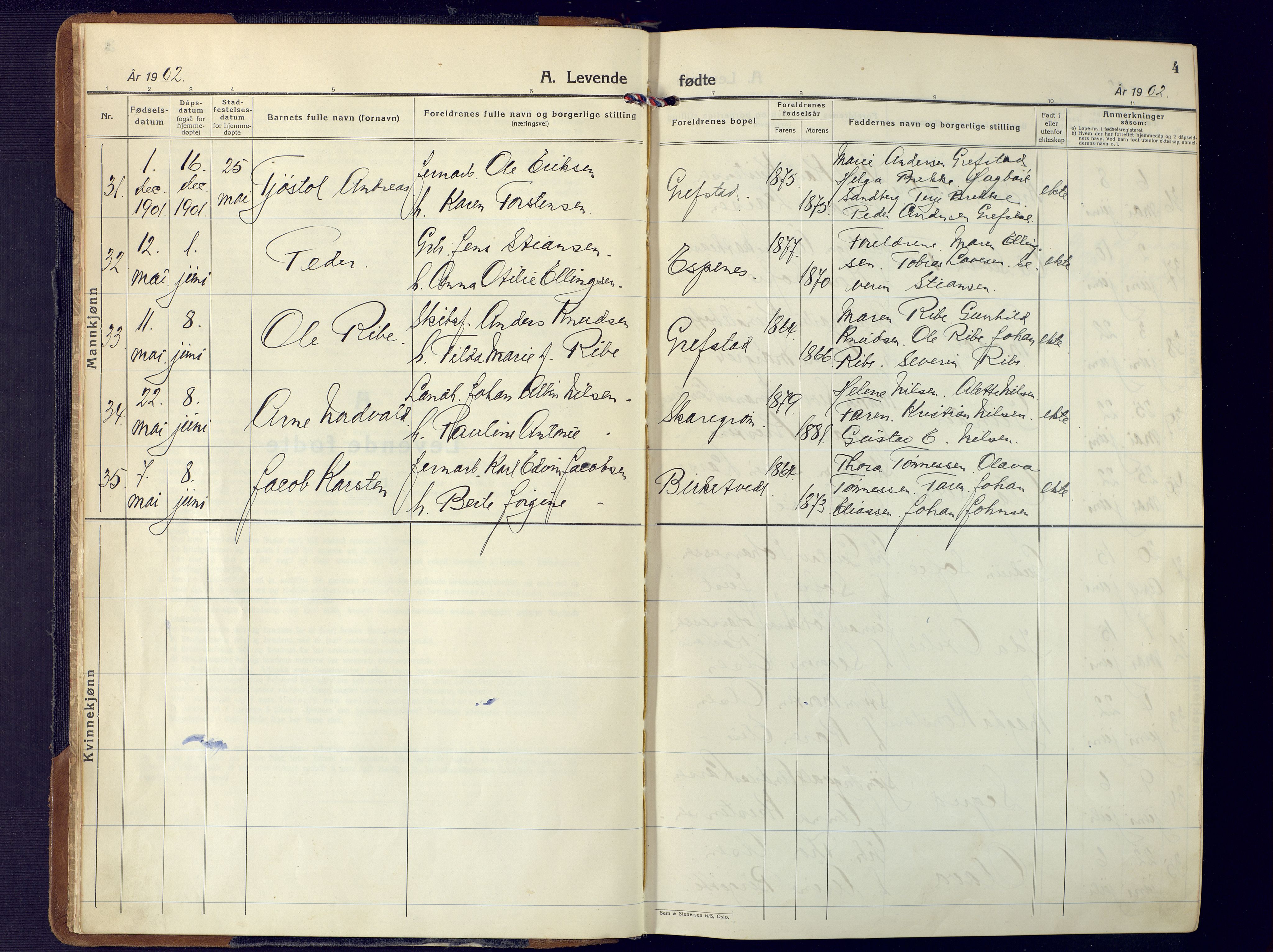 Fjære sokneprestkontor, AV/SAK-1111-0011/F/Fa/L0004: Parish register (official) no. A 4, 1902-1925, p. 4