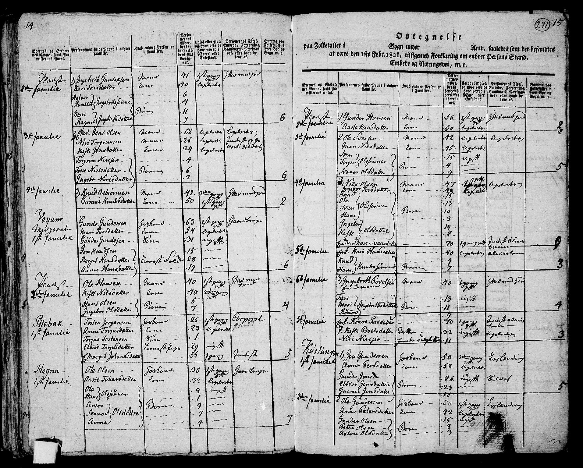 RA, 1801 census for 0822P Sauherad, 1801, p. 270b-271a