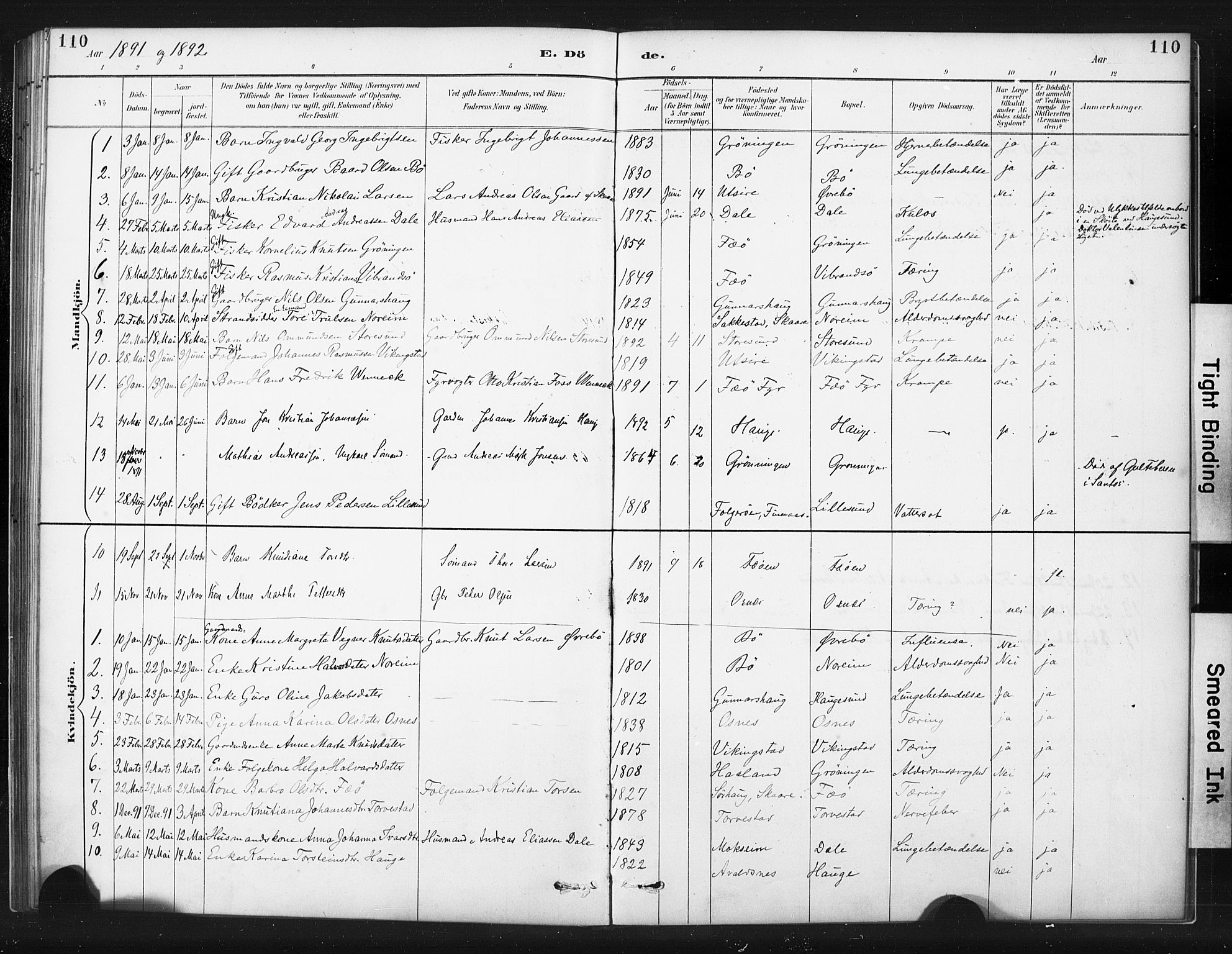 Torvastad sokneprestkontor, SAST/A -101857/H/Ha/Haa/L0015: Parish register (official) no. A 14, 1888-1899, p. 110