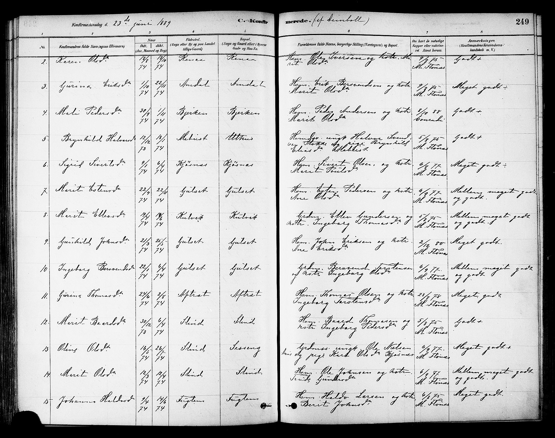 Ministerialprotokoller, klokkerbøker og fødselsregistre - Sør-Trøndelag, SAT/A-1456/695/L1148: Parish register (official) no. 695A08, 1878-1891, p. 249