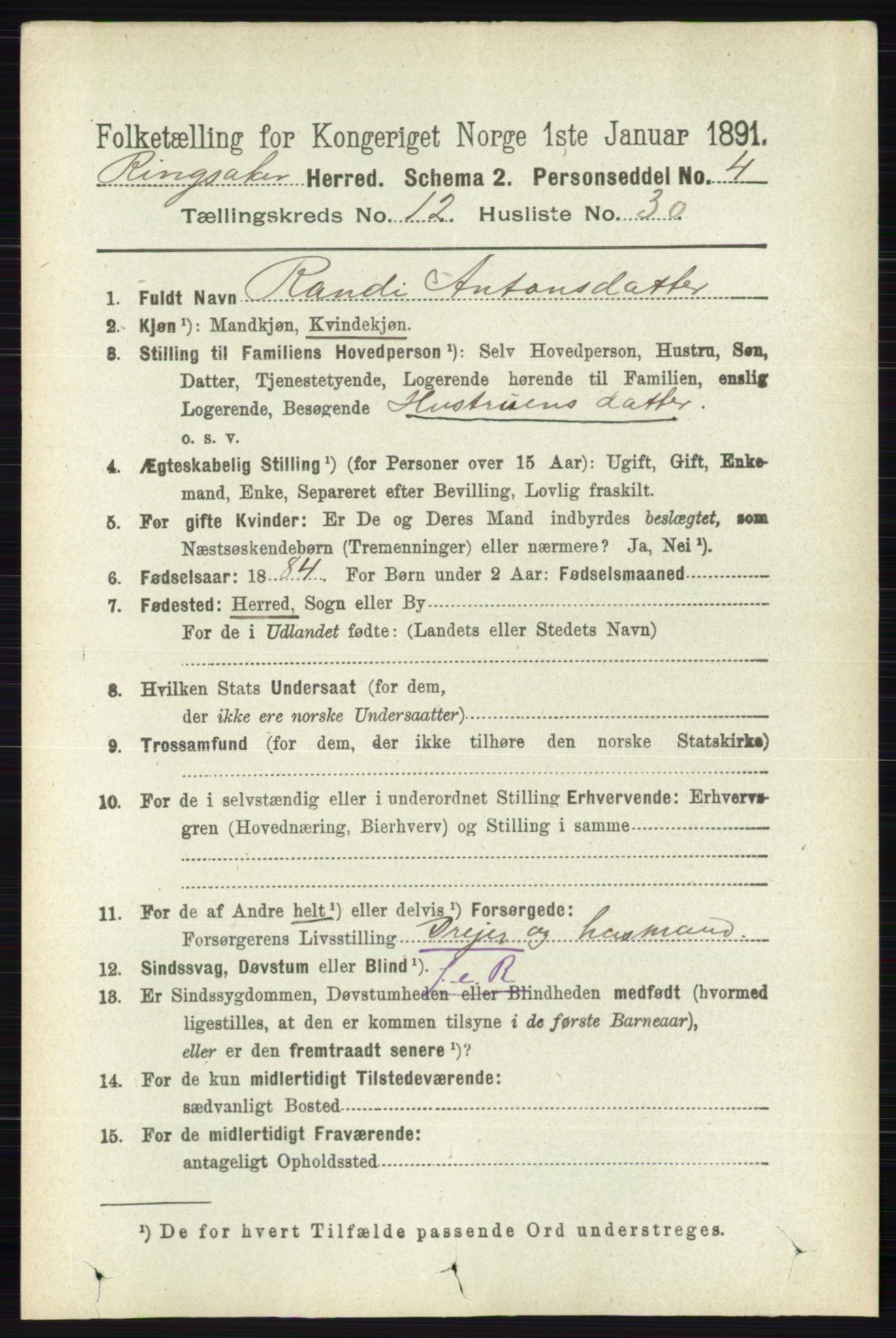 RA, 1891 census for 0412 Ringsaker, 1891, p. 6916