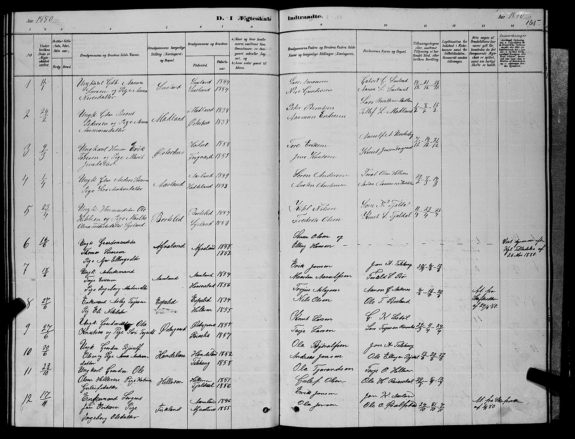 Åseral sokneprestkontor, SAK/1111-0051/F/Fb/L0002: Parish register (copy) no. B 2, 1878-1899, p. 165