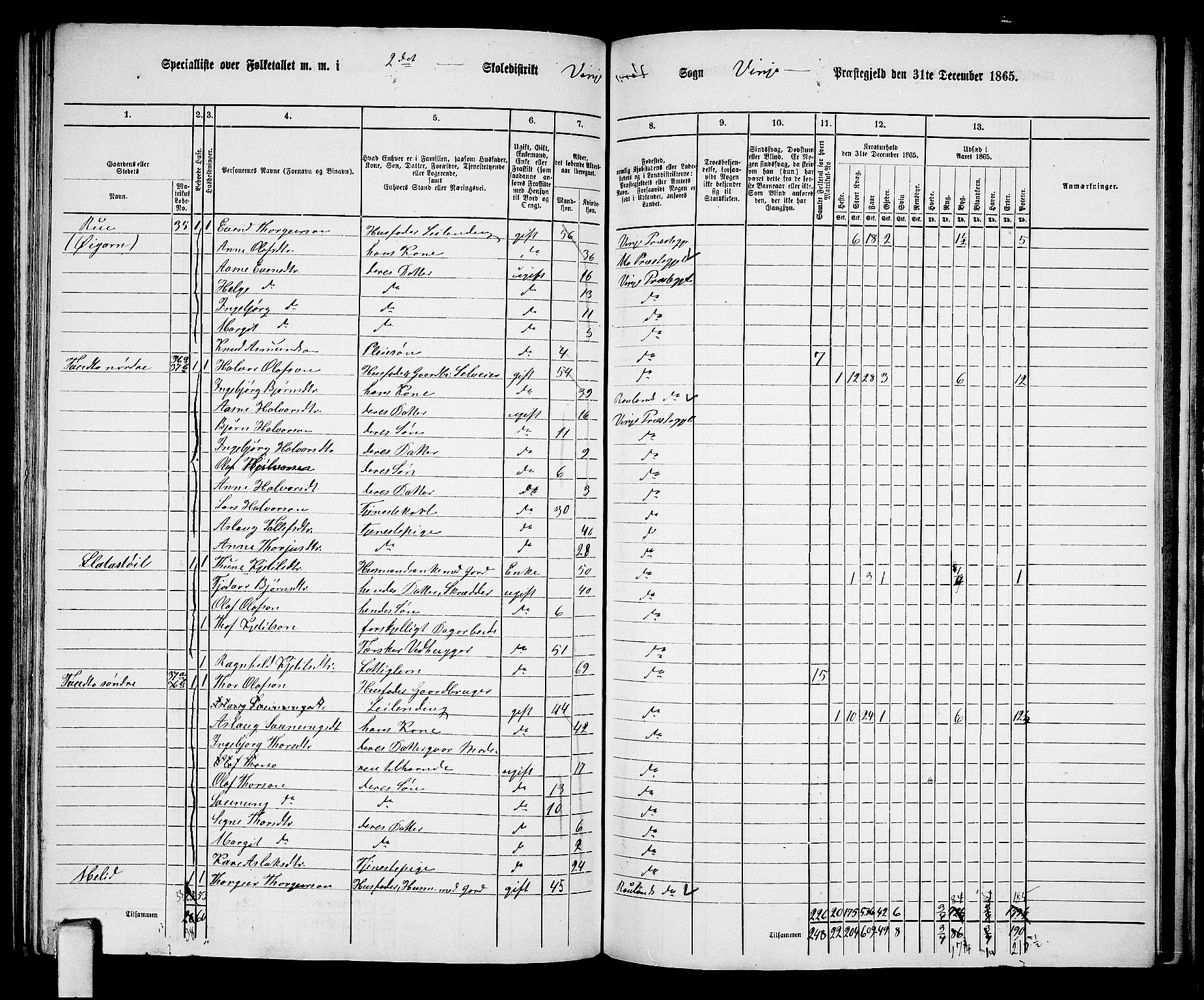 RA, 1865 census for Vinje, 1865, p. 24