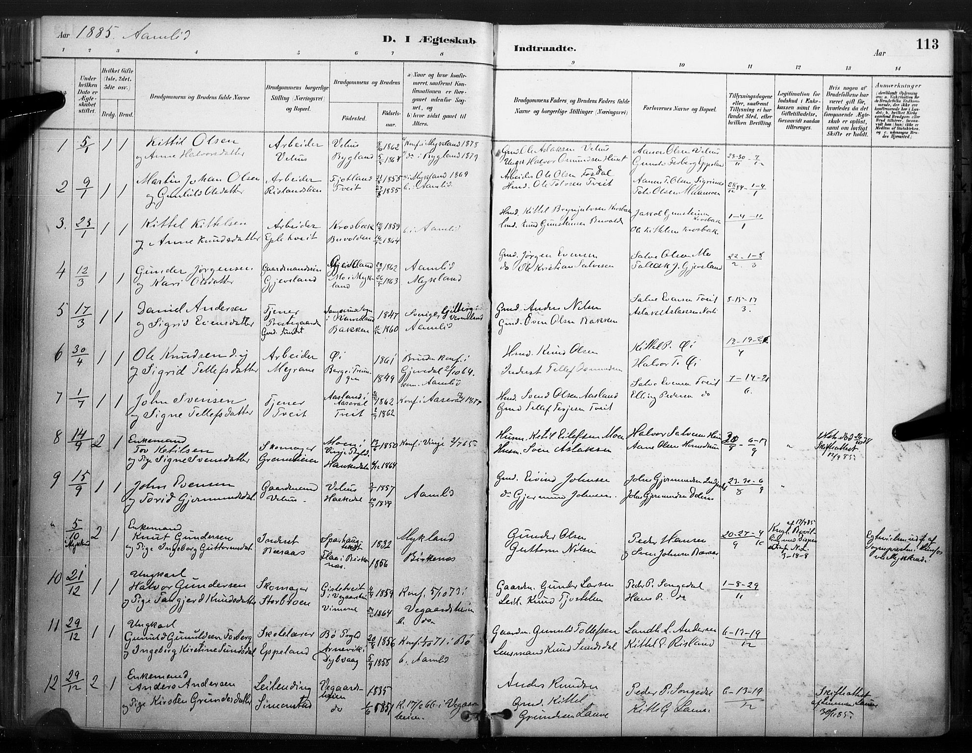 Åmli sokneprestkontor, AV/SAK-1111-0050/F/Fa/Fac/L0010: Parish register (official) no. A 10 /1, 1885-1899, p. 113